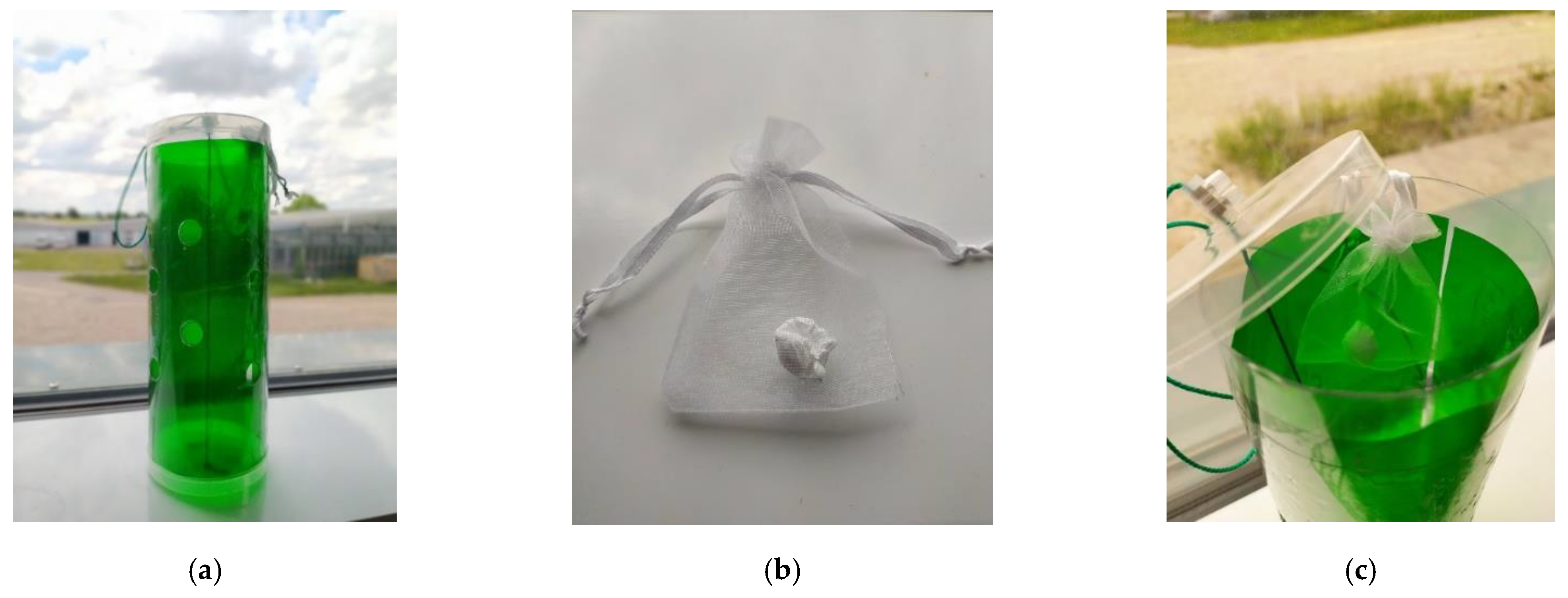 Insects 13 00743 g001