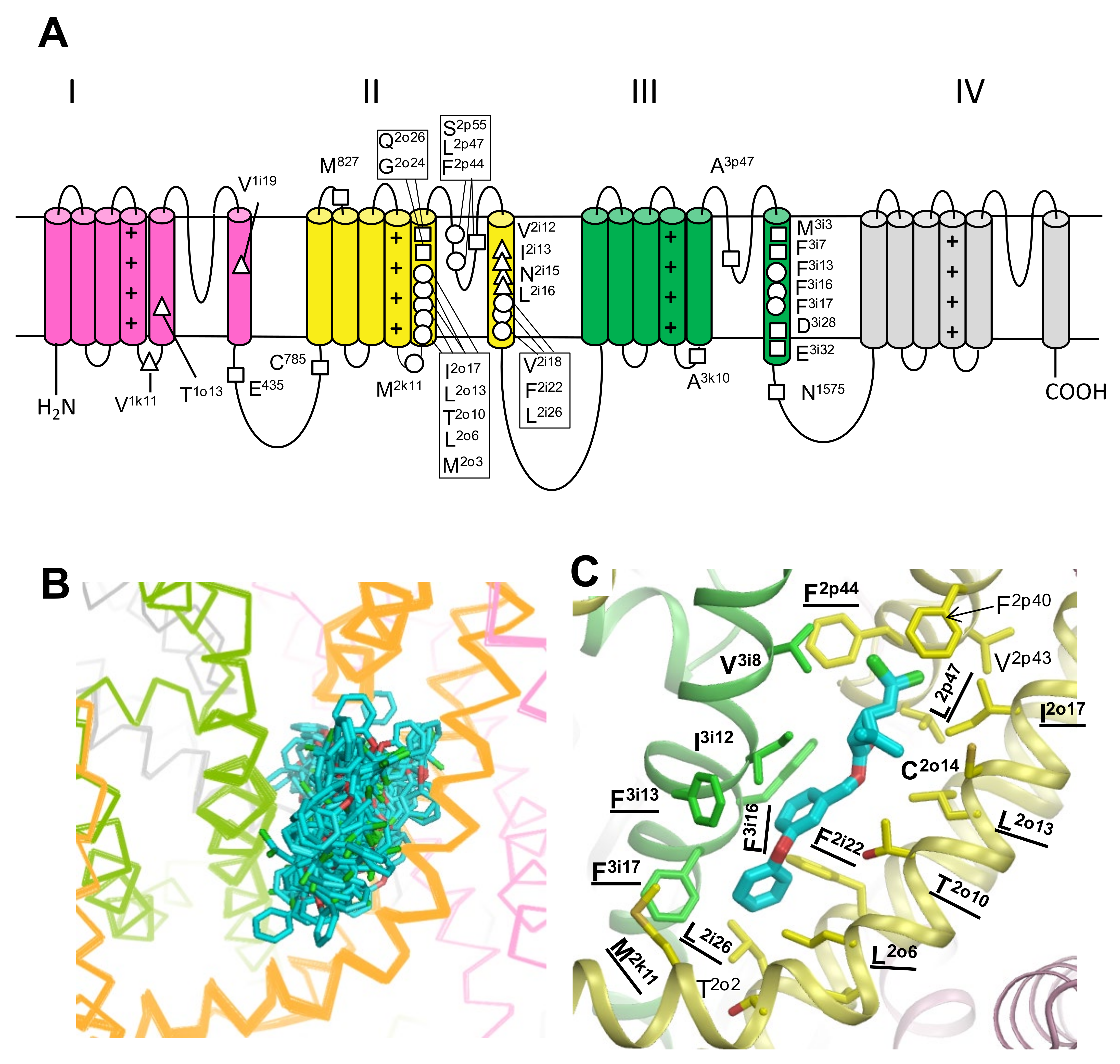 https://www.mdpi.com/insects/insects-13-00745/article_deploy/html/images/insects-13-00745-g001.png