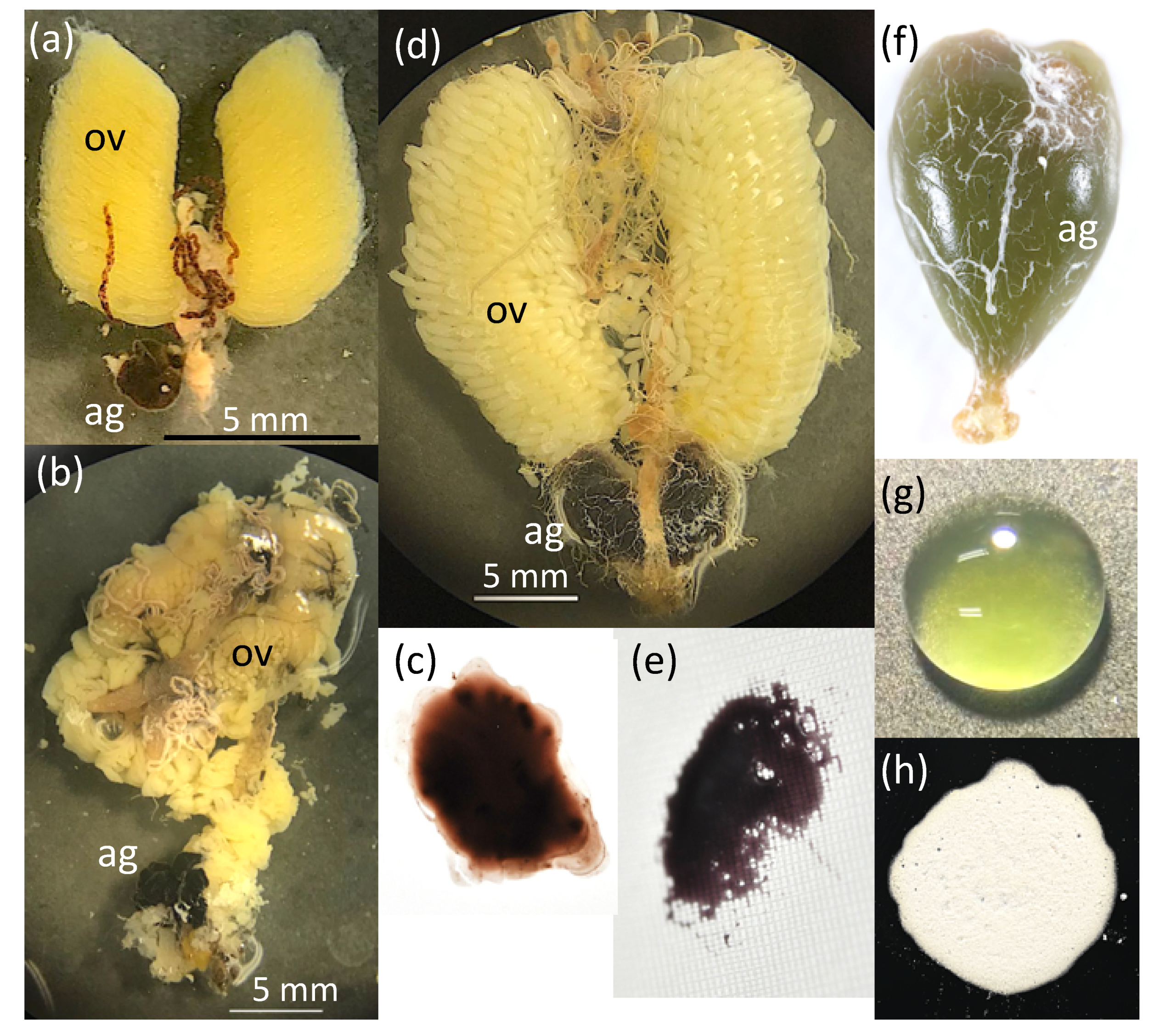 Insects 13 00766 g003