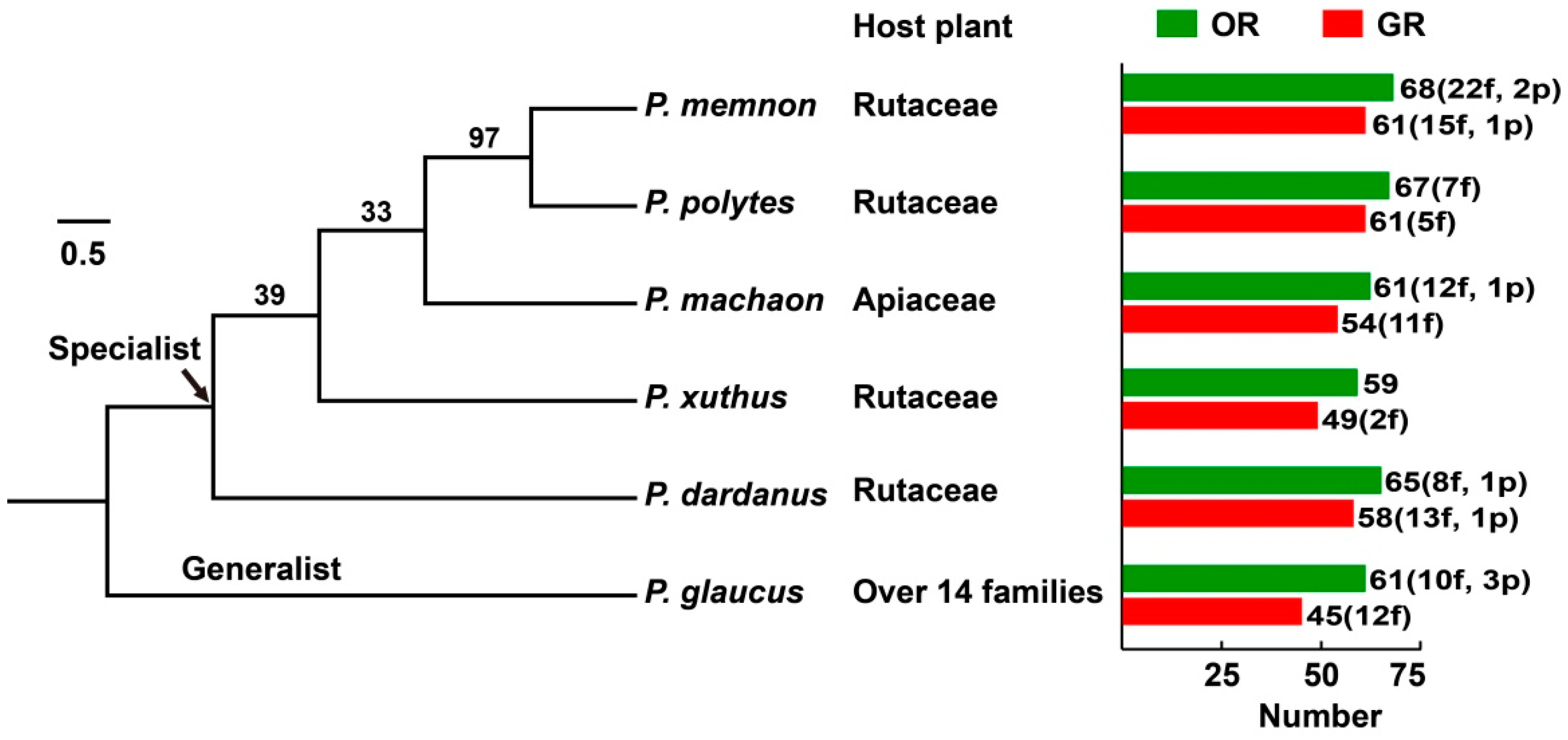 Insects | Free Full-Text | Genome-Wide Analysis of Odorant and