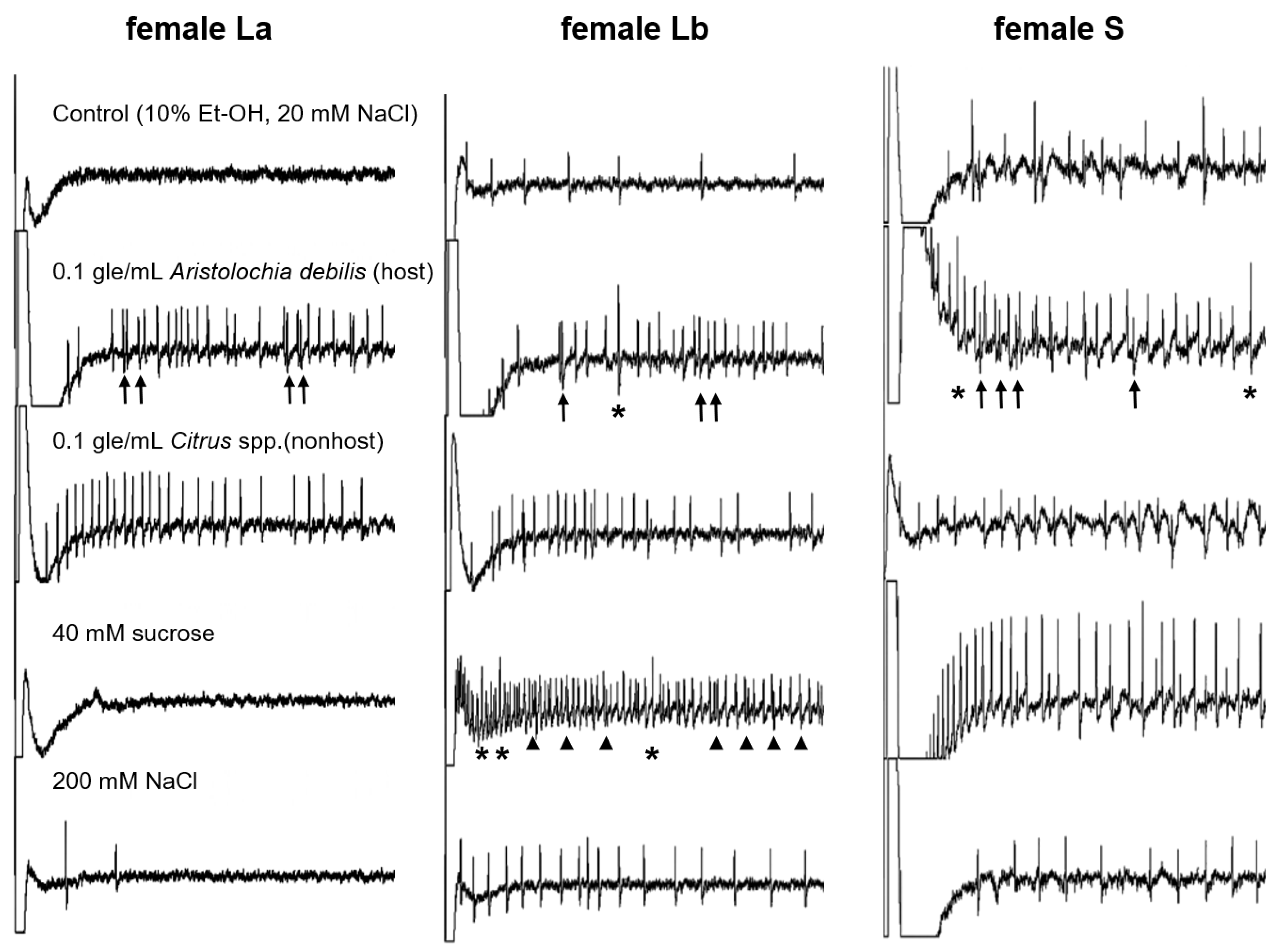 Insects 13 00802 g002