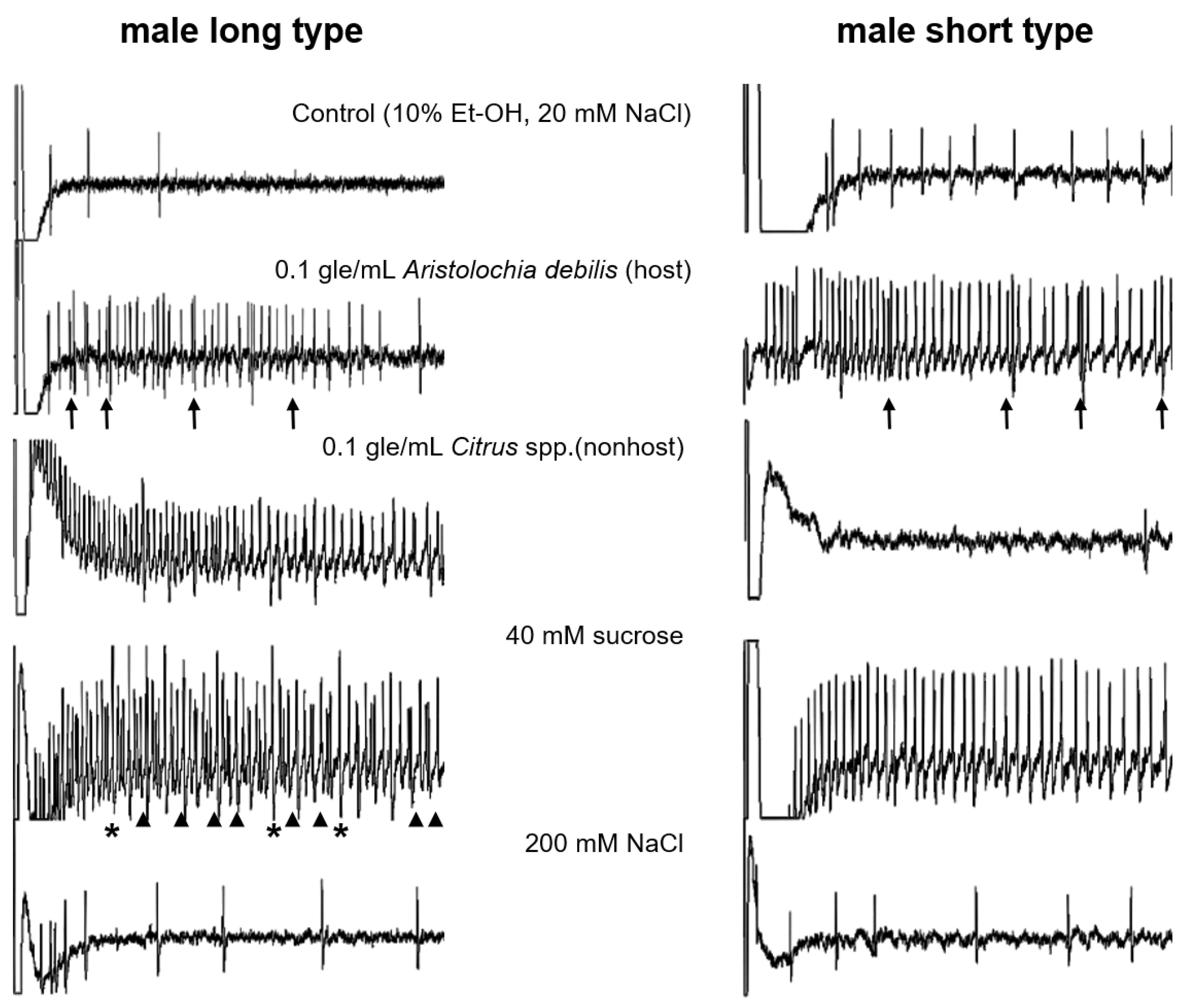 Insects 13 00802 g003