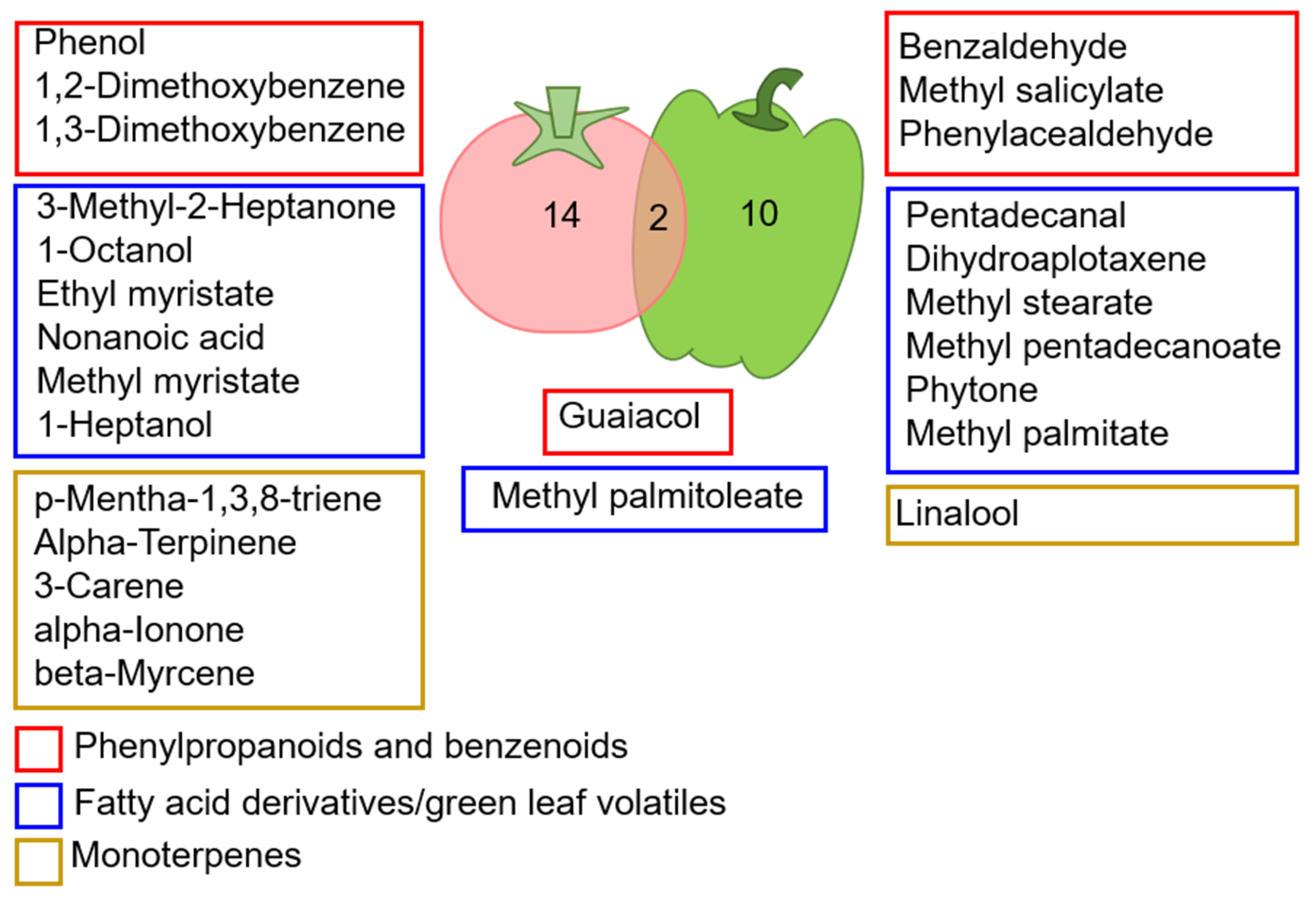 Insects 13 00840 g004