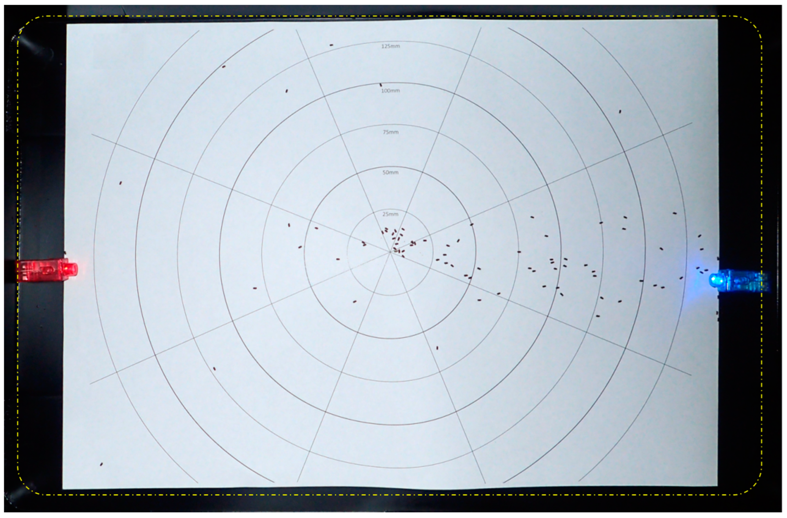 Insects 13 00851 g004 Insects 13 00851 g004