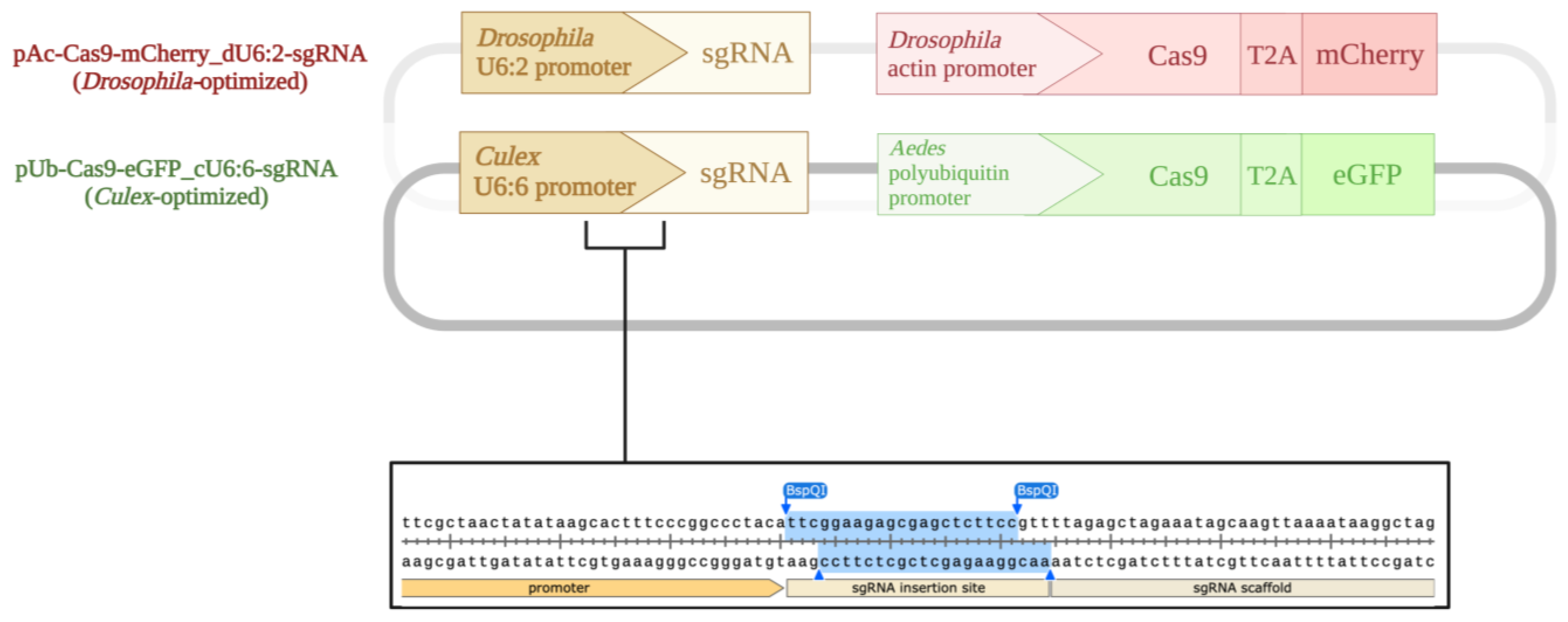 Insects 13 00856 g001 Insects 13 00856 g001