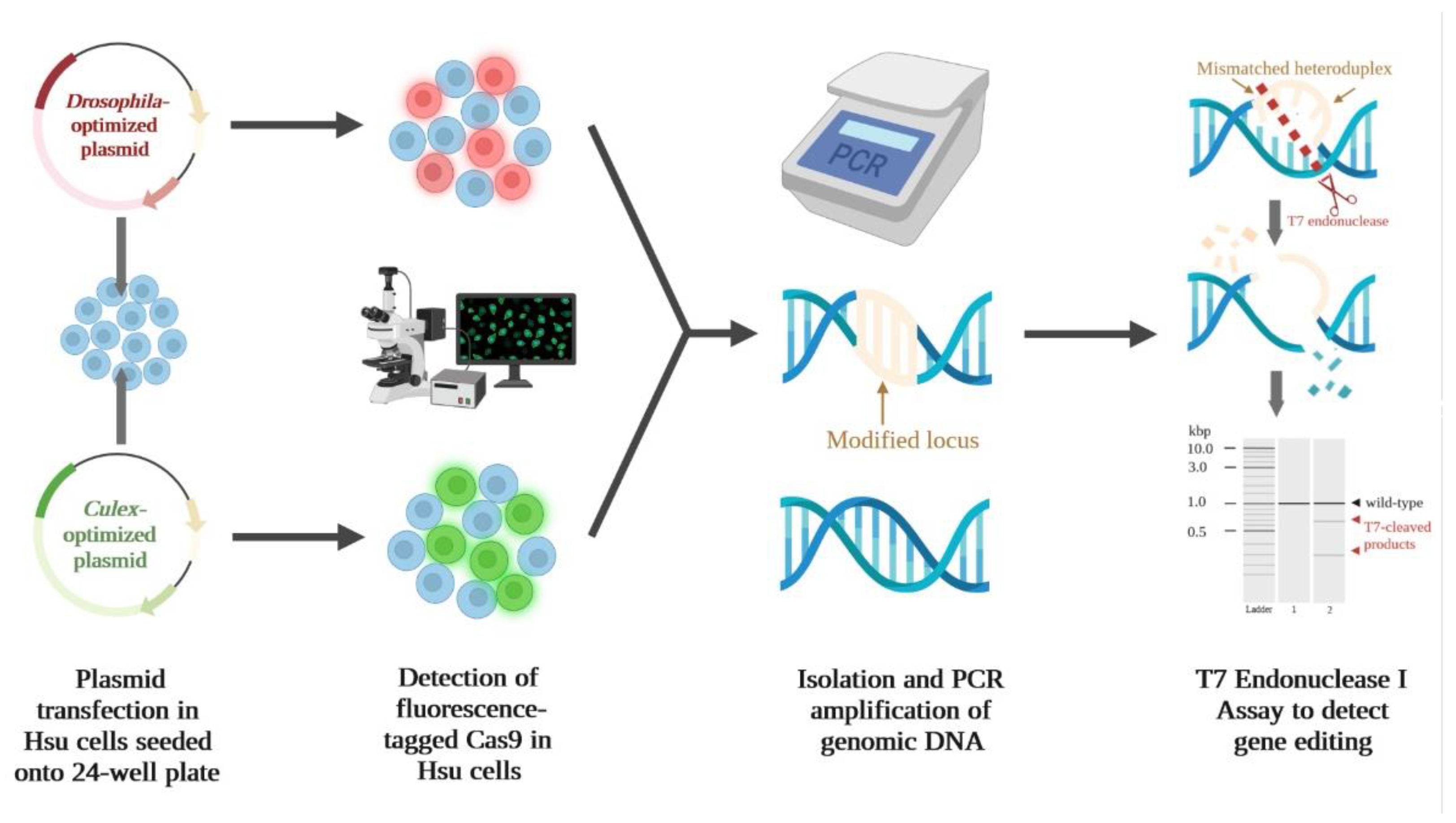 Insects 13 00856 g002 Insects 13 00856 g002