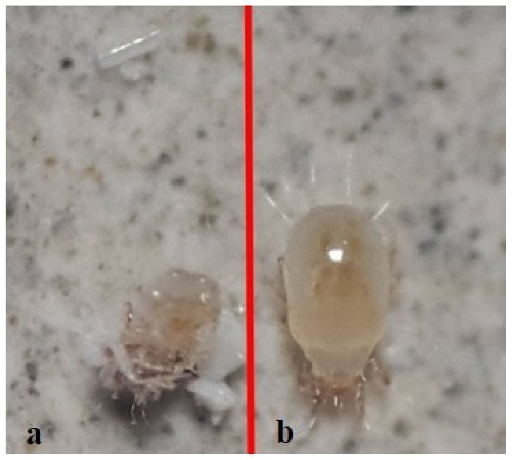 Insects 13 00857 g003 Insects 13 00857 g003