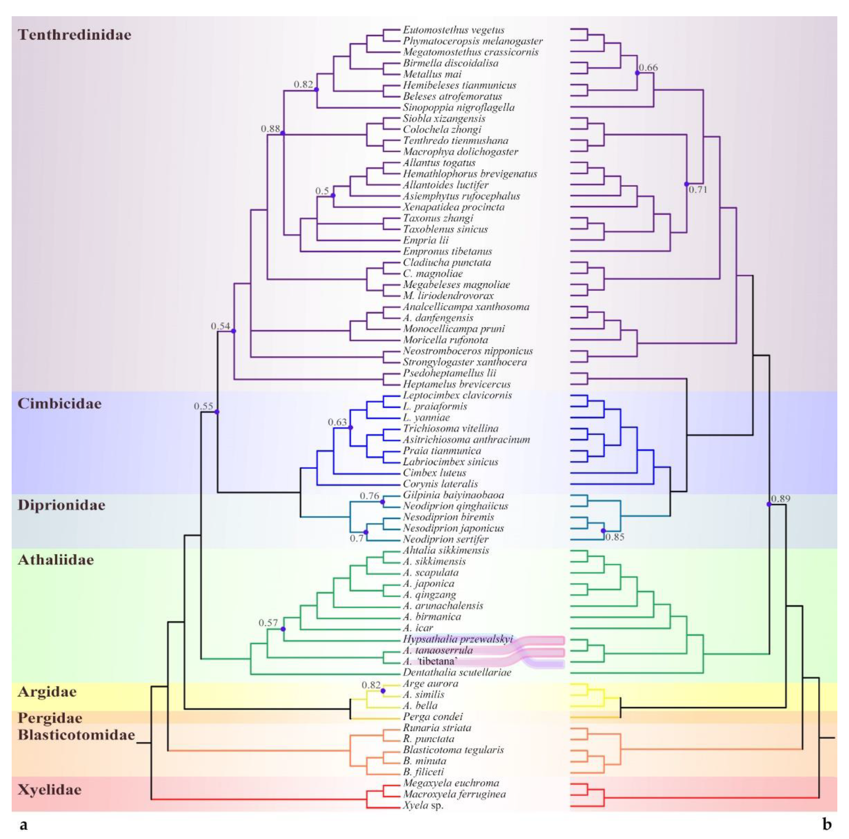 Insects 13 00858 g003 Insects 13 00858 g003