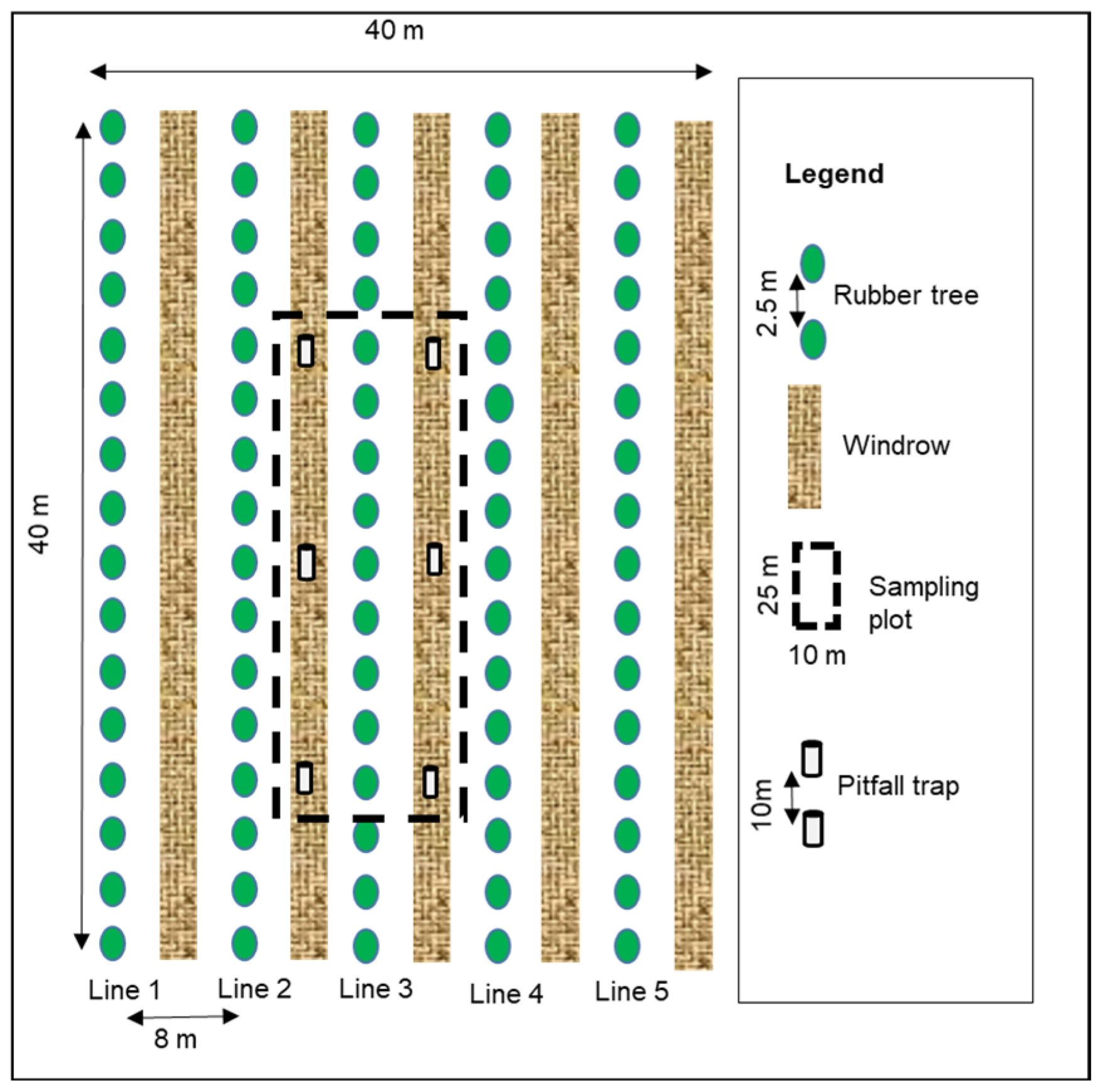 Insects 13 00892 g001