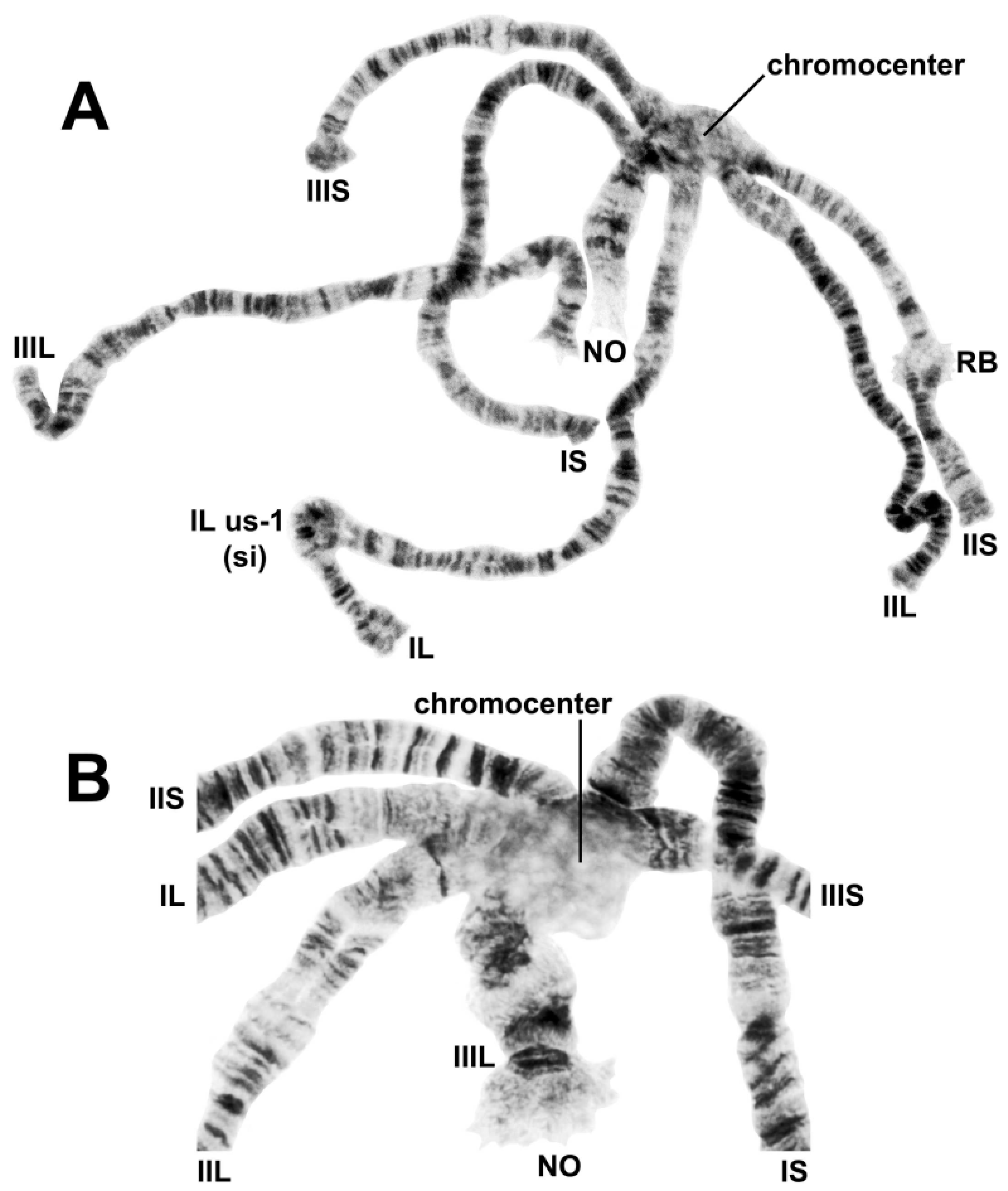 Insects 13 00903 g002