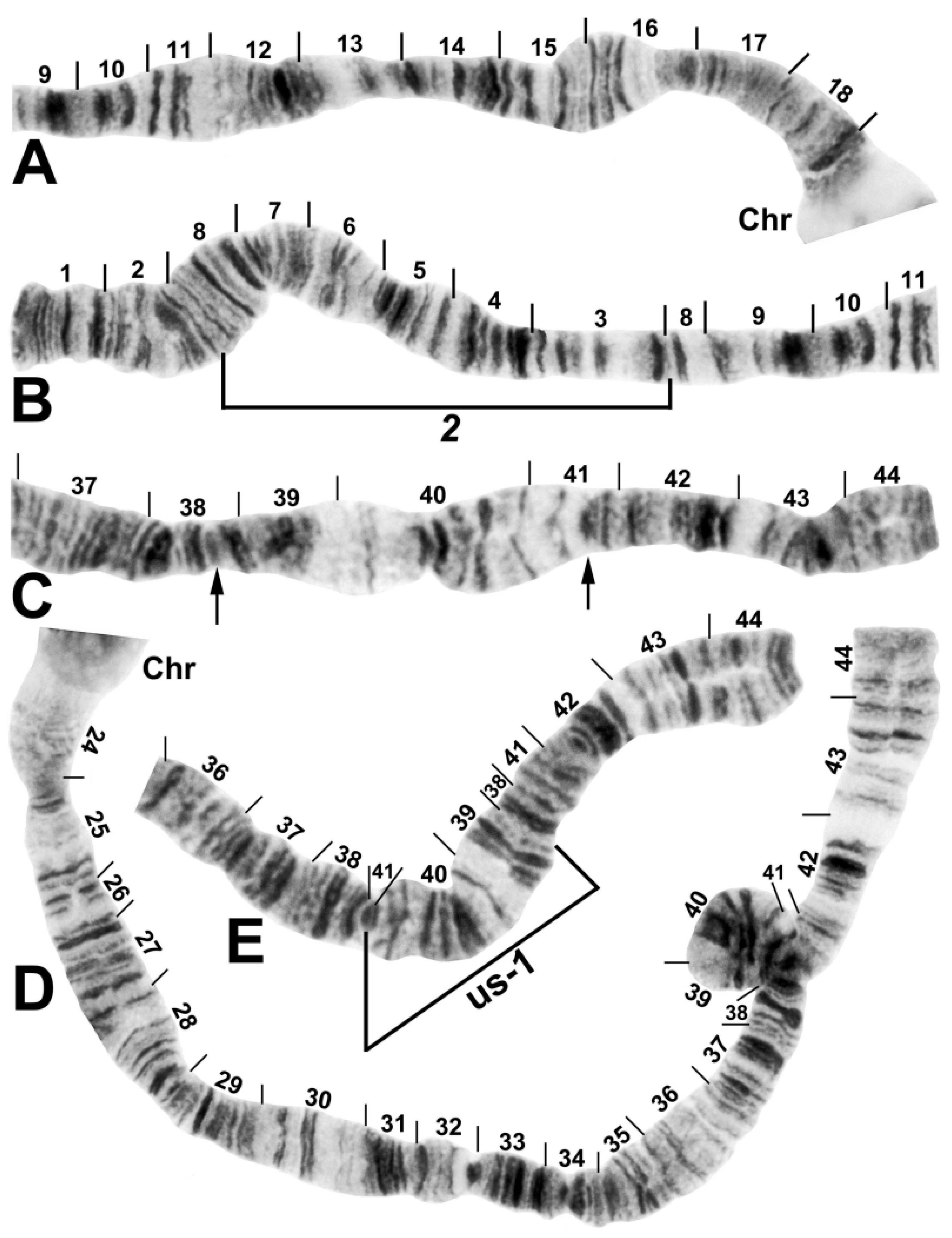 Insects 13 00903 g003