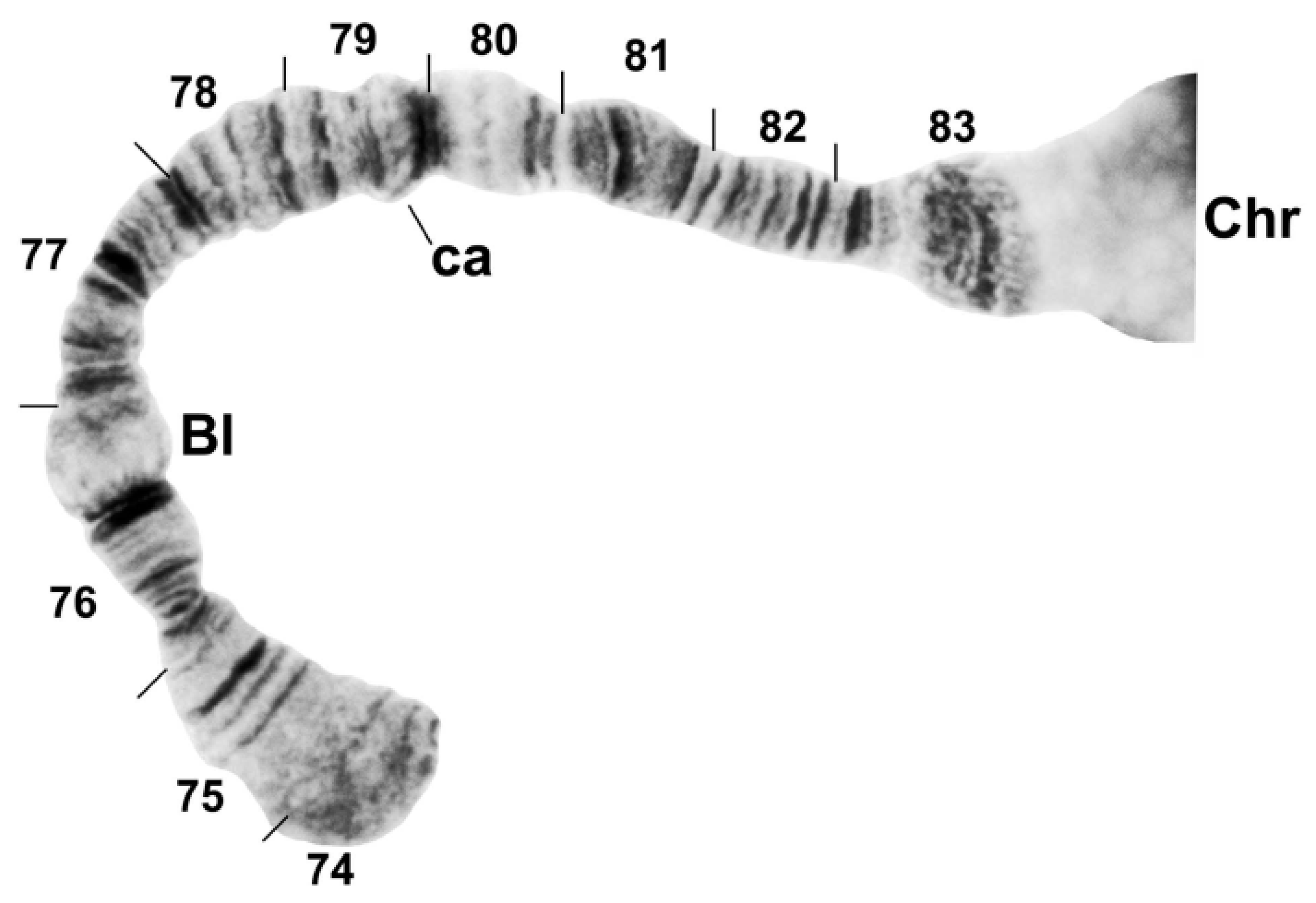 Insects 13 00903 g007