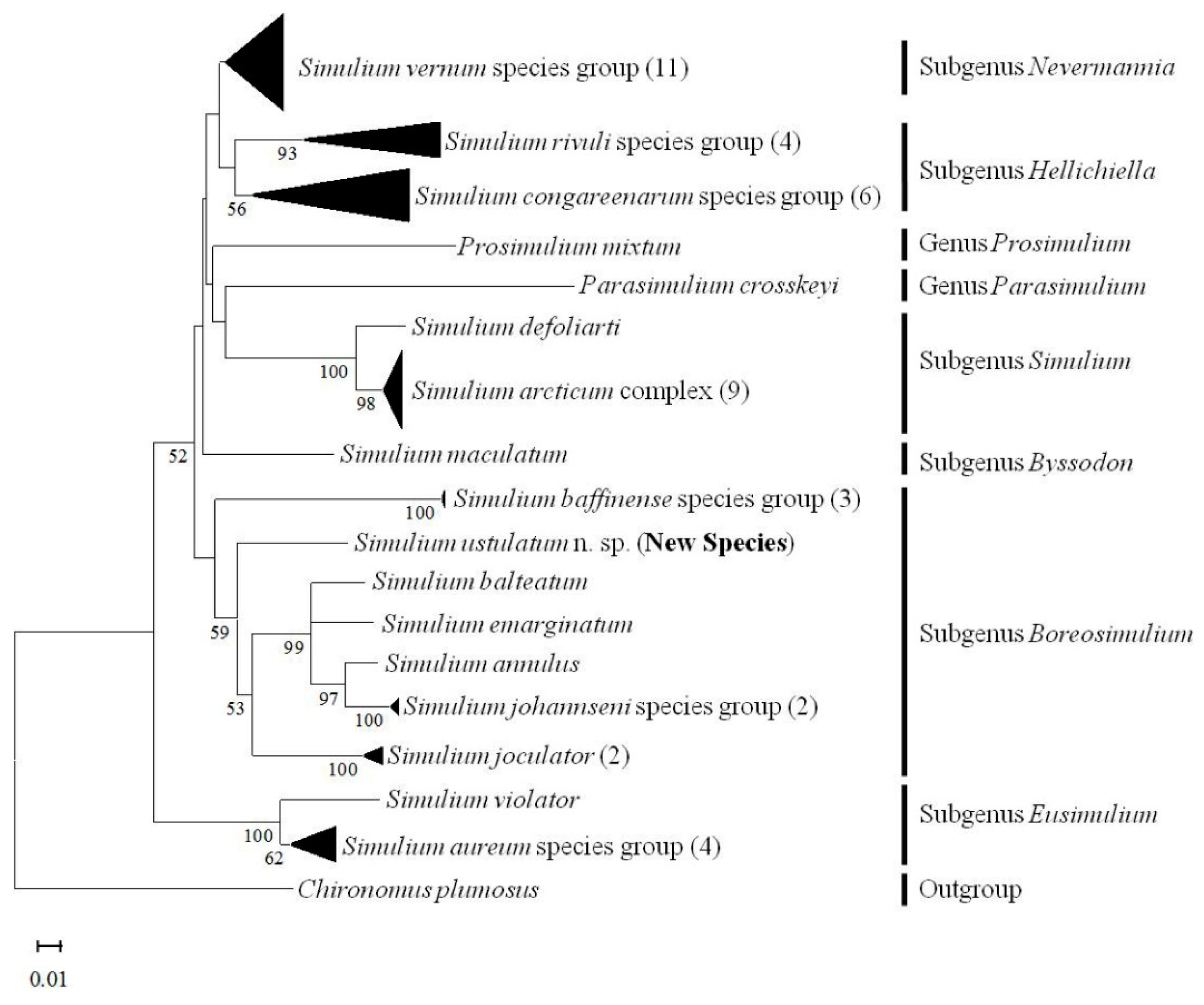 Insects 13 00903 g012