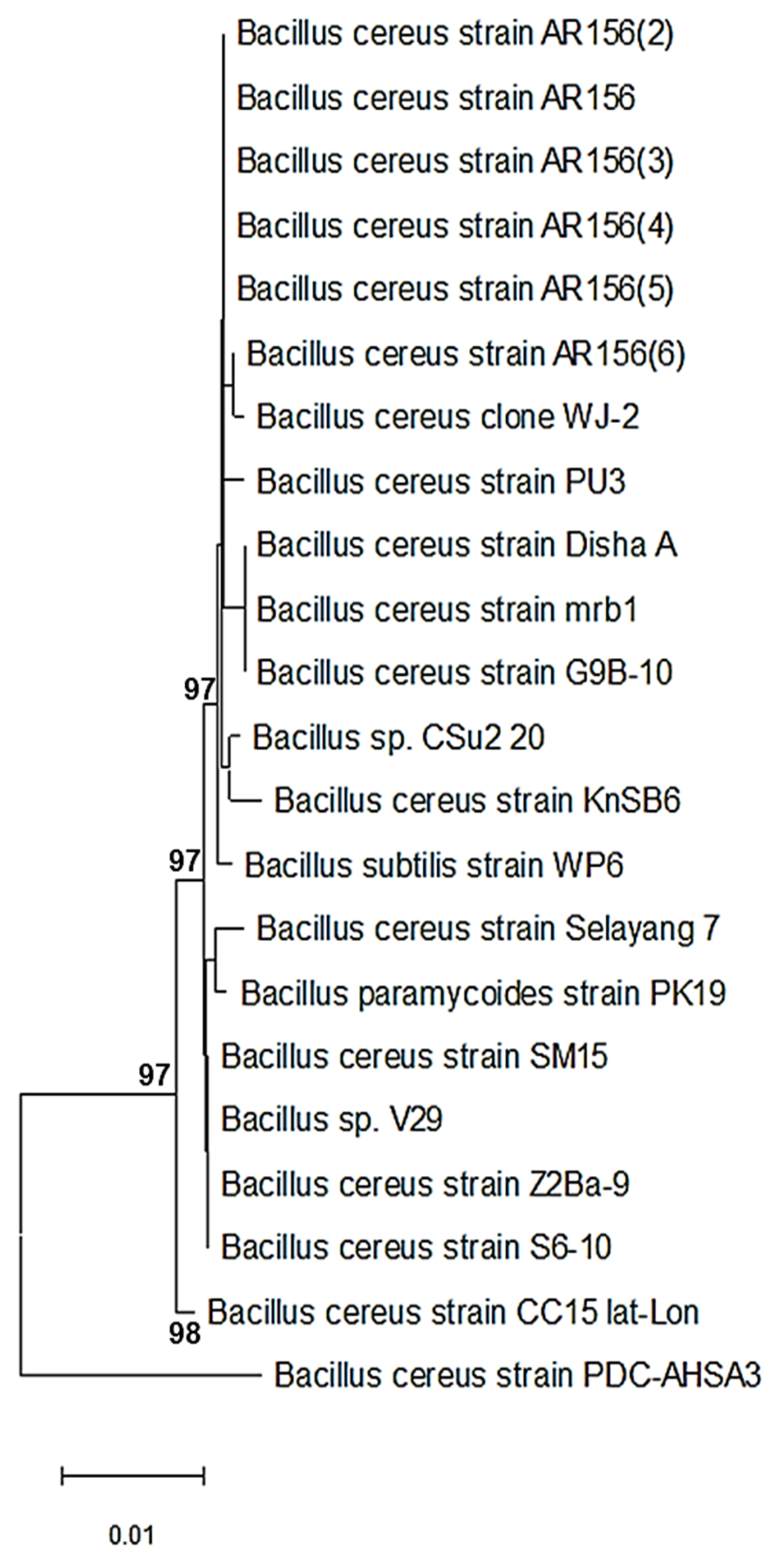 Bacillus thuringiensis – La Biolca