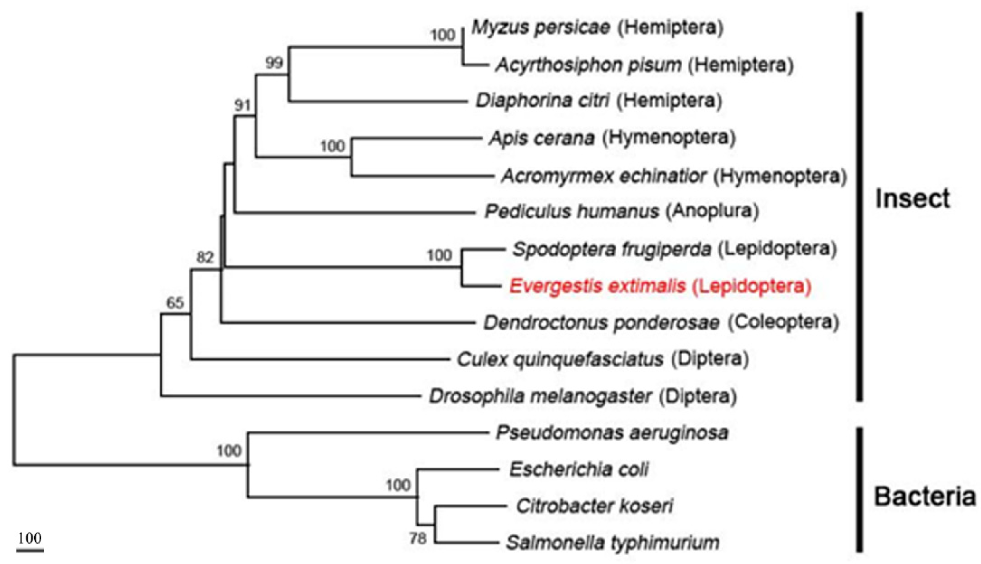 Insects 13 00909 g007