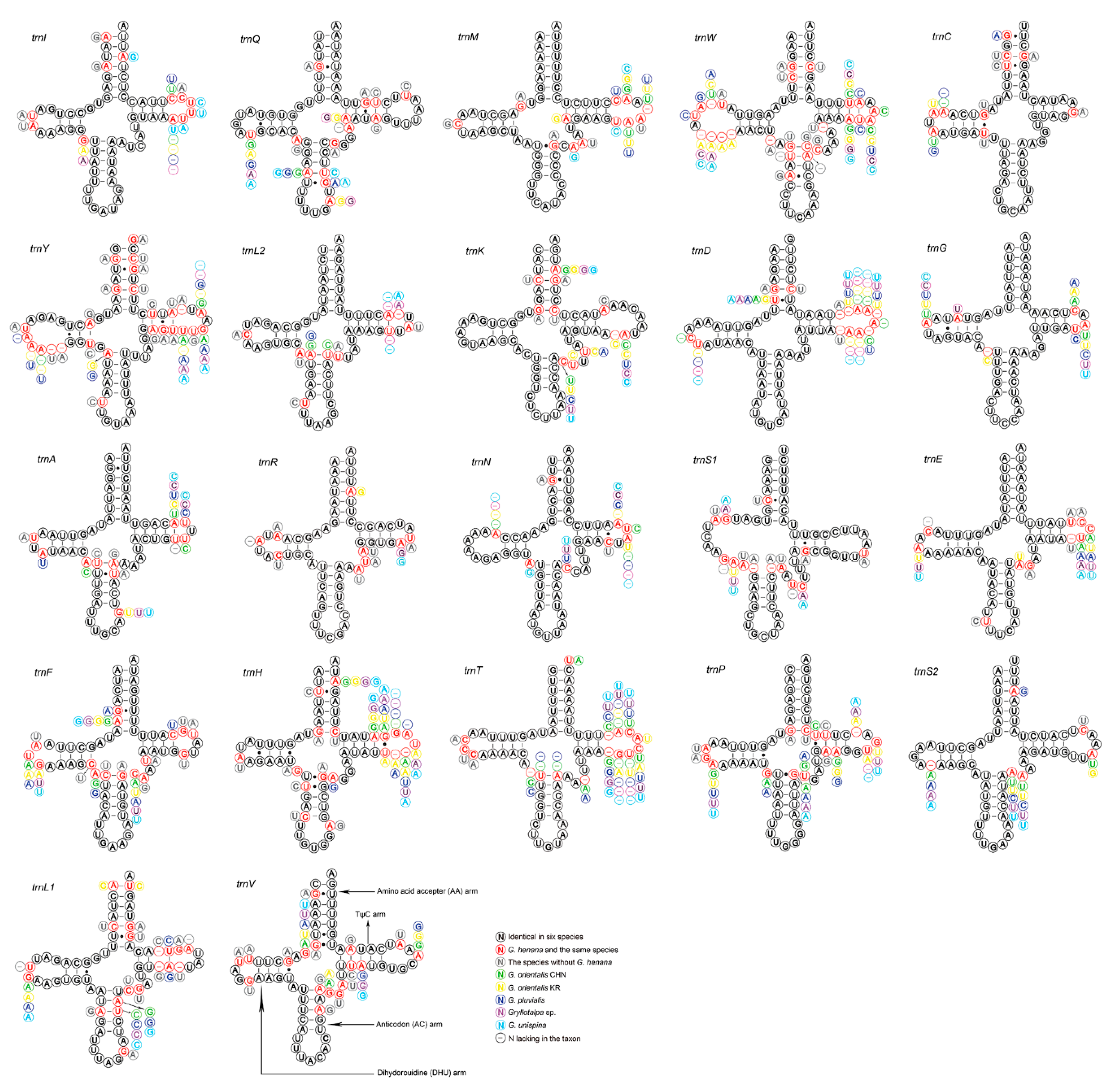 Insects 13 00919 g004