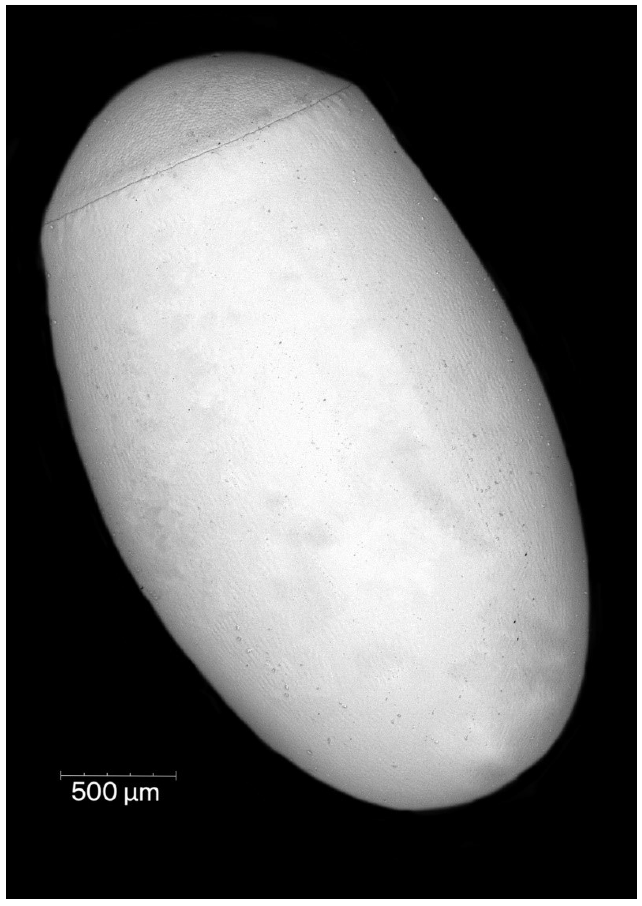 Insects 13 01014 g001 Insects 13 01014 g001