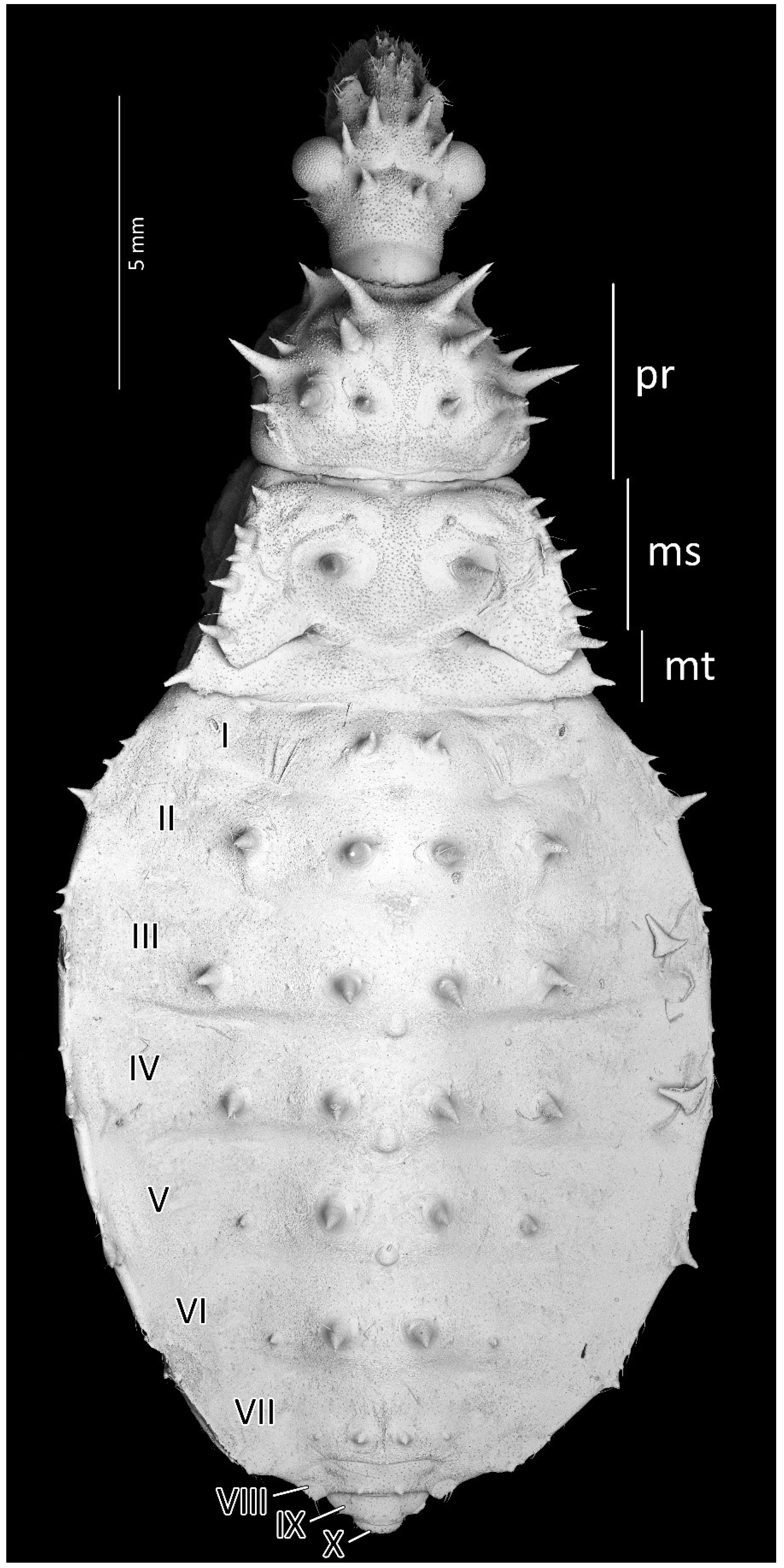 Insects 13 01014 g012 Insects 13 01014 g012