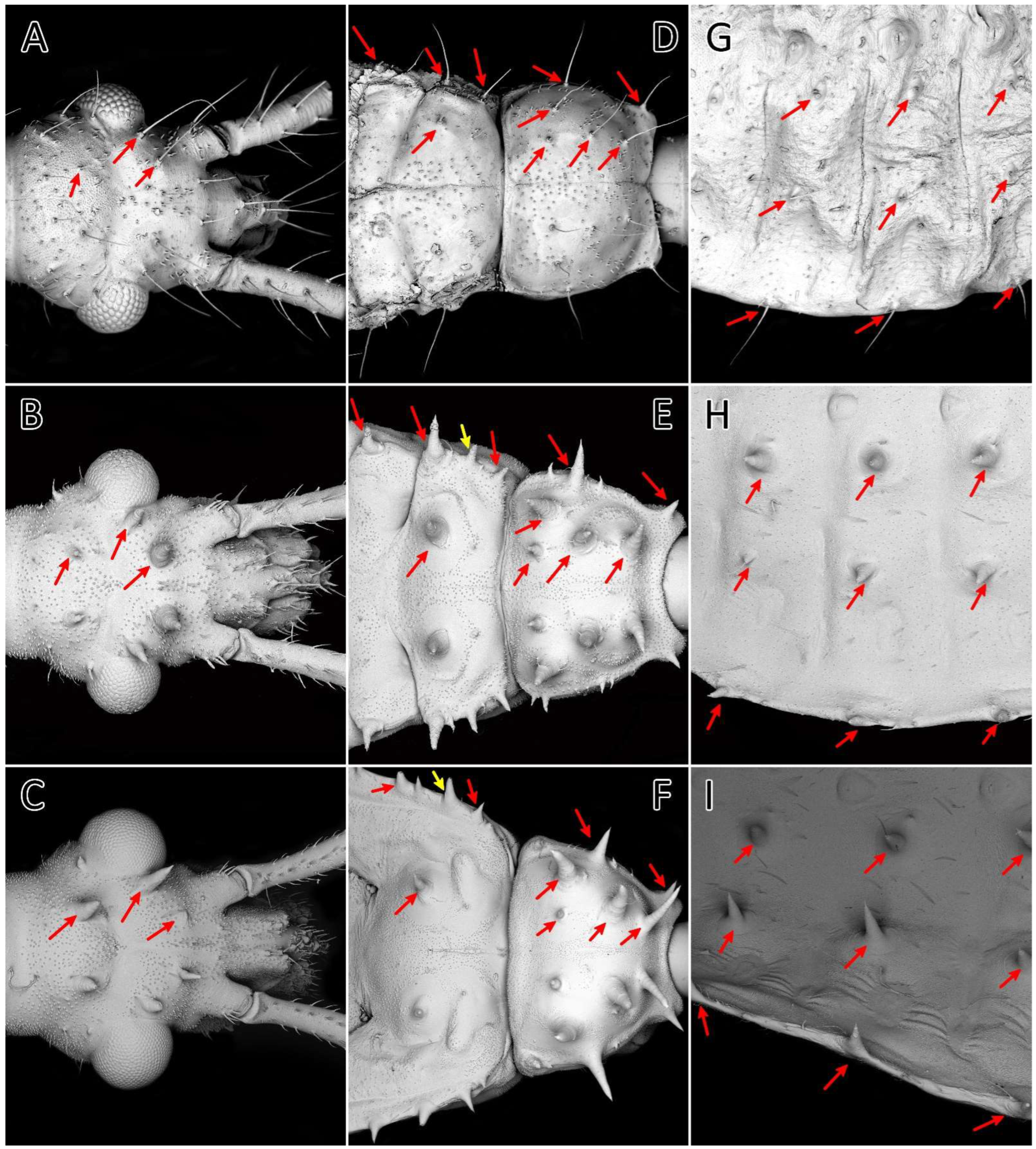 Insects 13 01014 g015 Insects 13 01014 g015