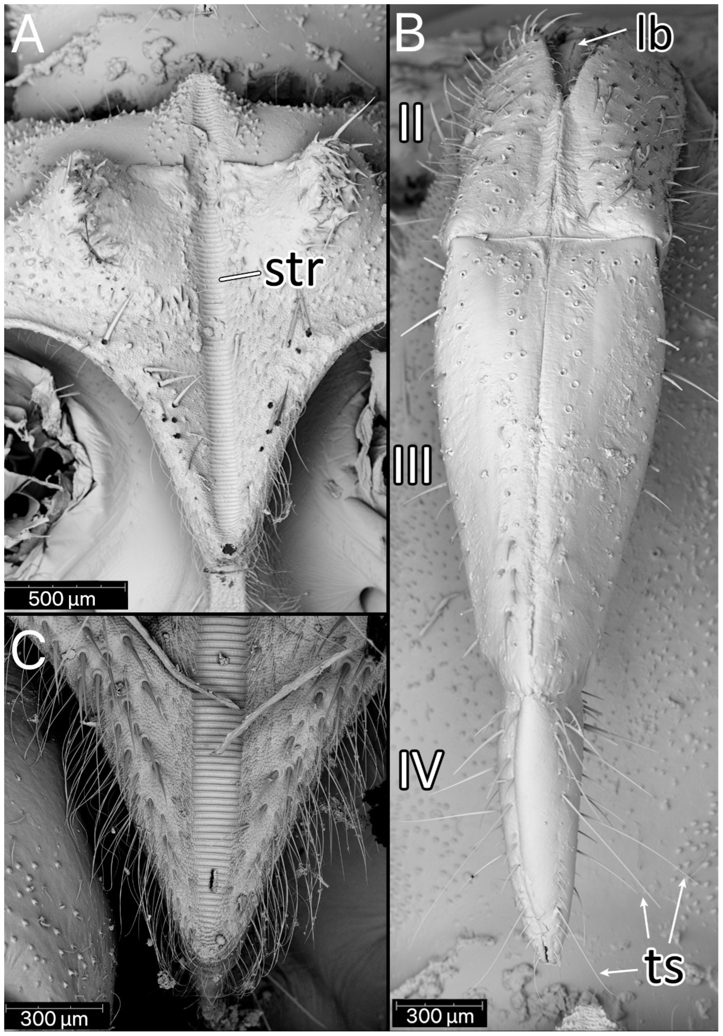 Insects 13 01014 g019 Insects 13 01014 g019