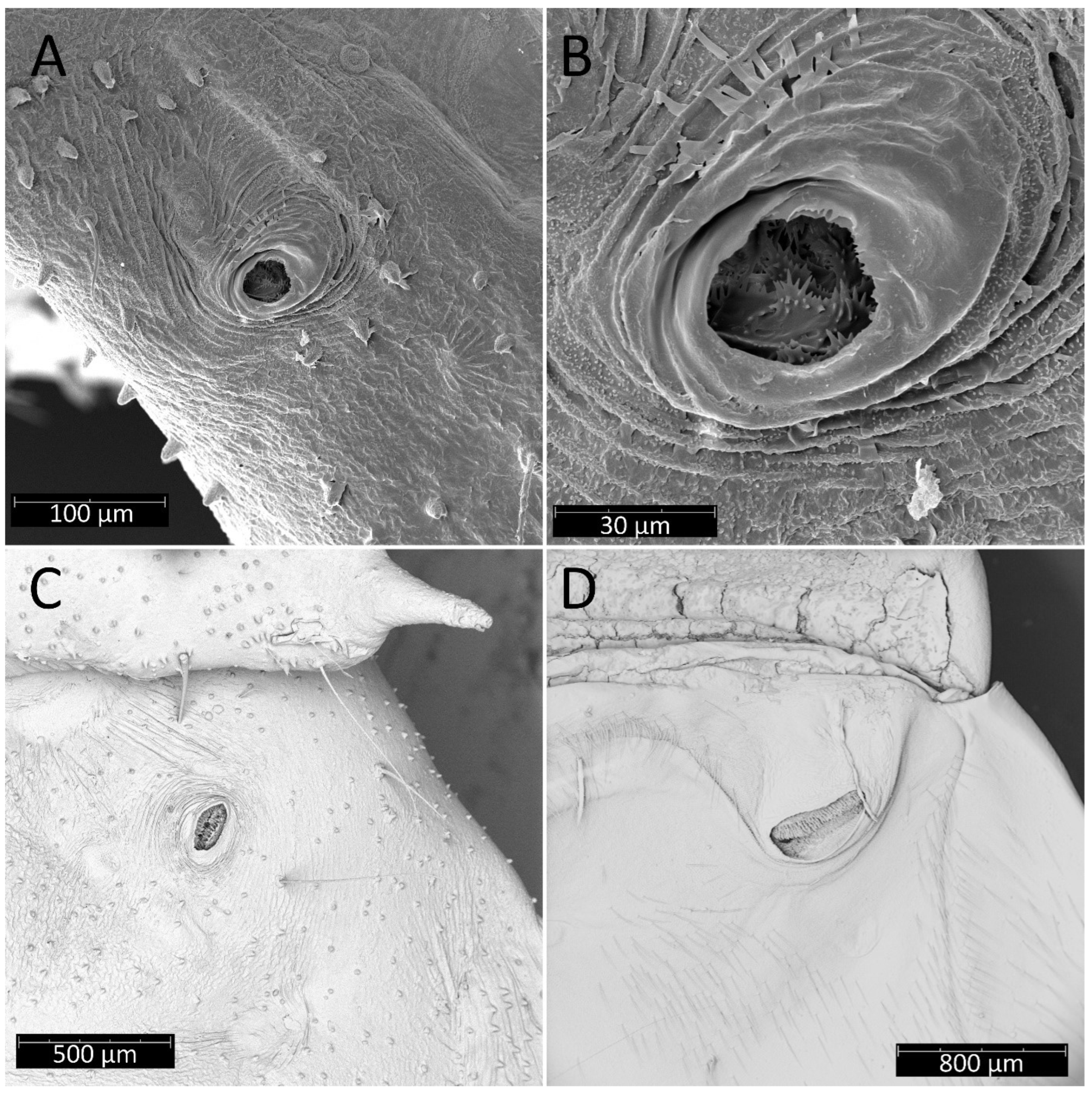 Insects 13 01014 g023 Insects 13 01014 g023