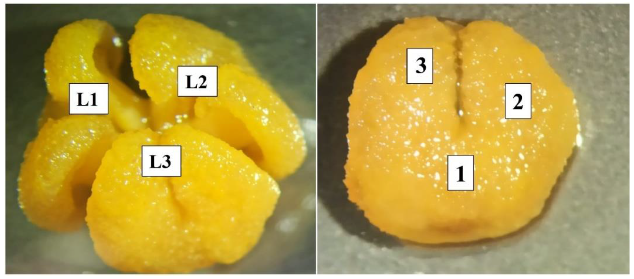 Insects 13 01021 g002 Insects 13 01021 g002