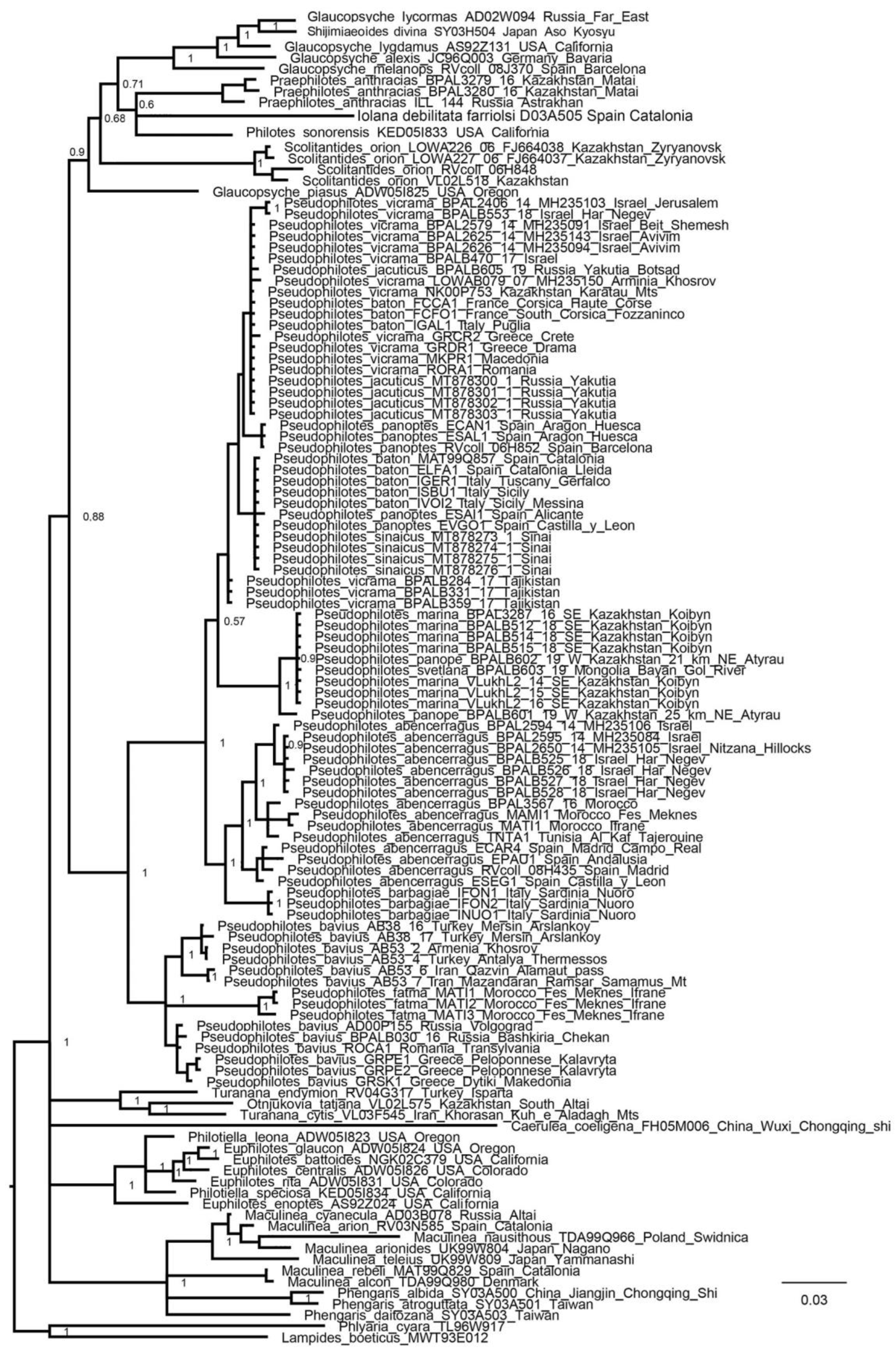 Insects 13 01110 g001 Insects 13 01110 g001
