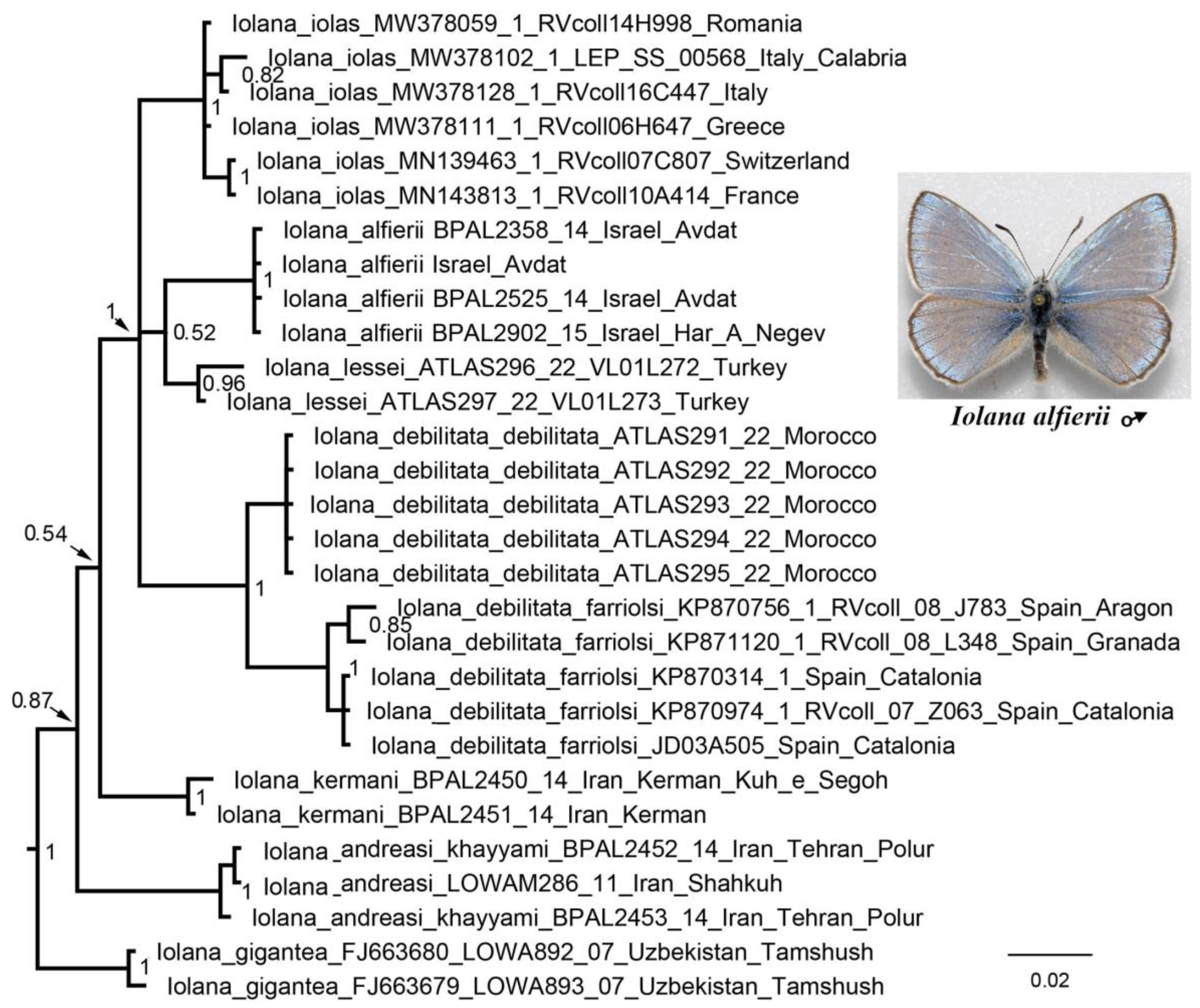 Insects 13 01110 g006 Insects 13 01110 g006