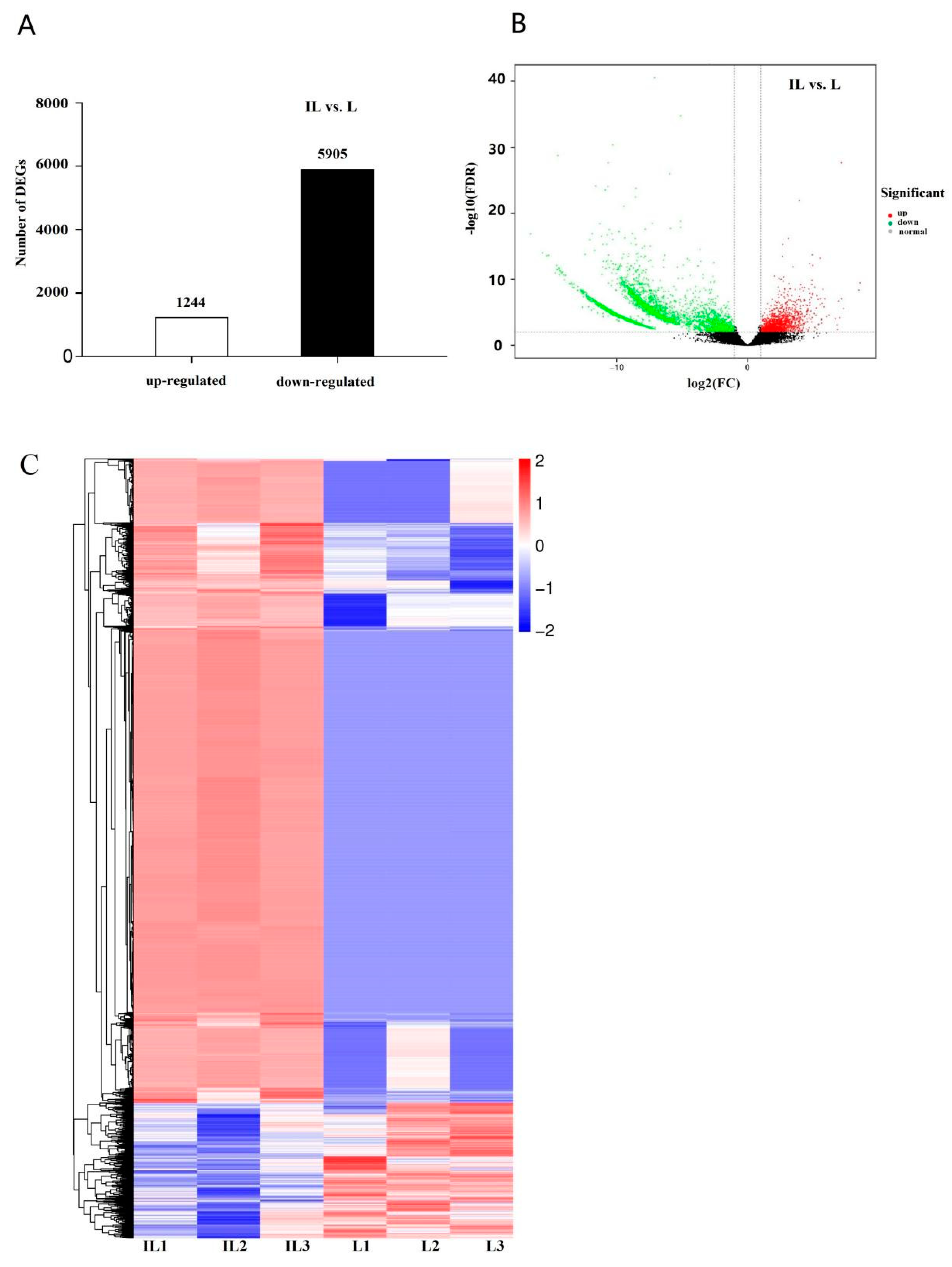 Insects 13 01119 g002