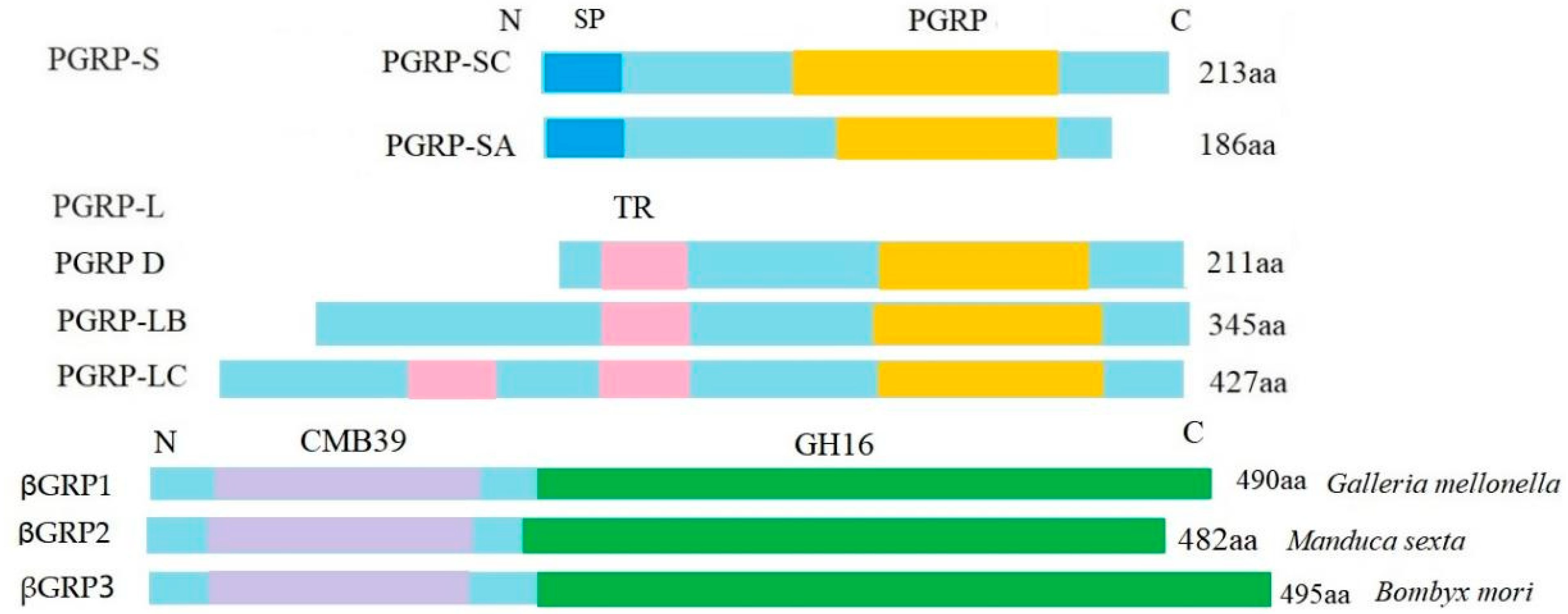 Insects 13 01119 g006
