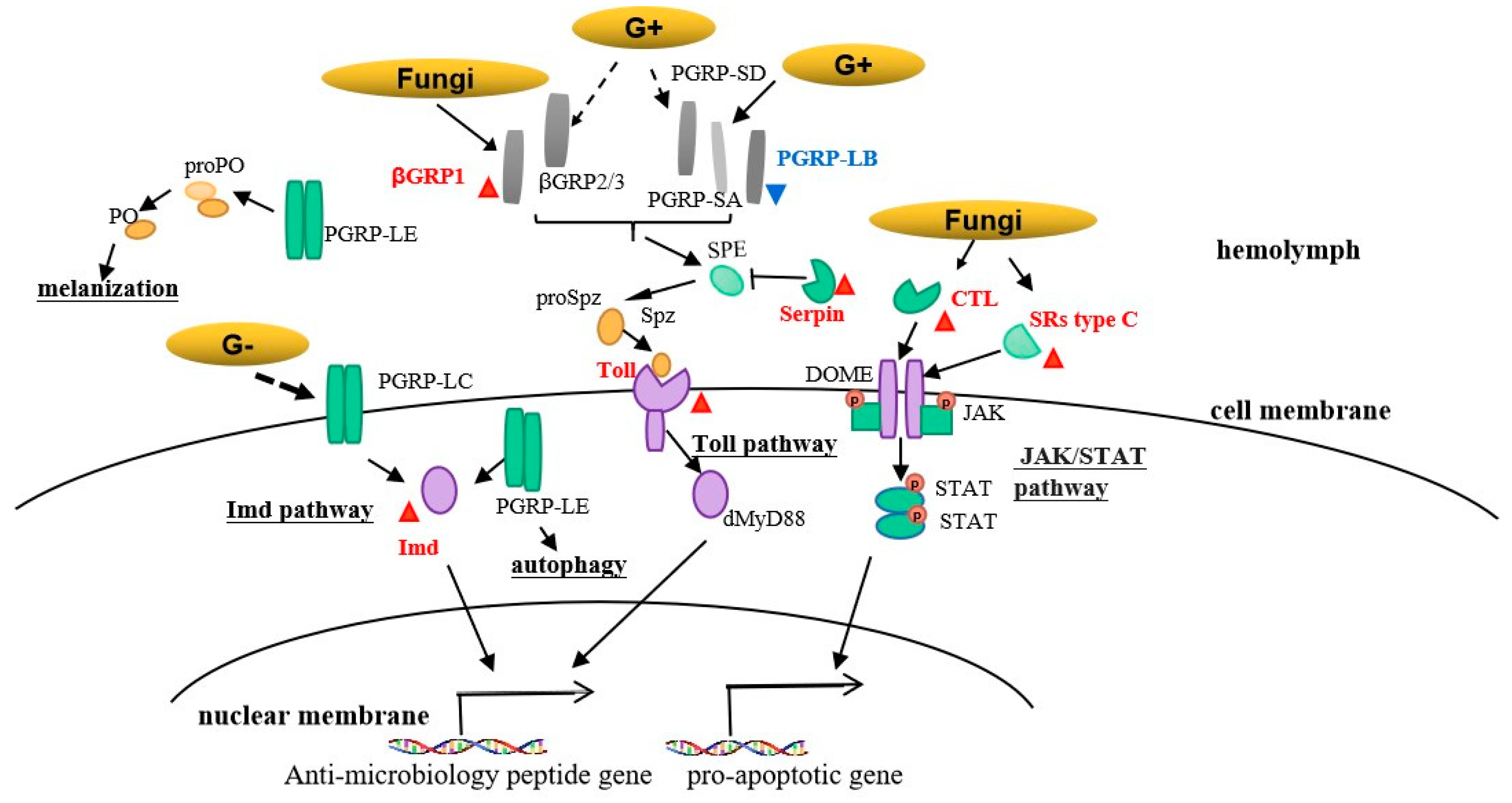 Insects 13 01119 g008