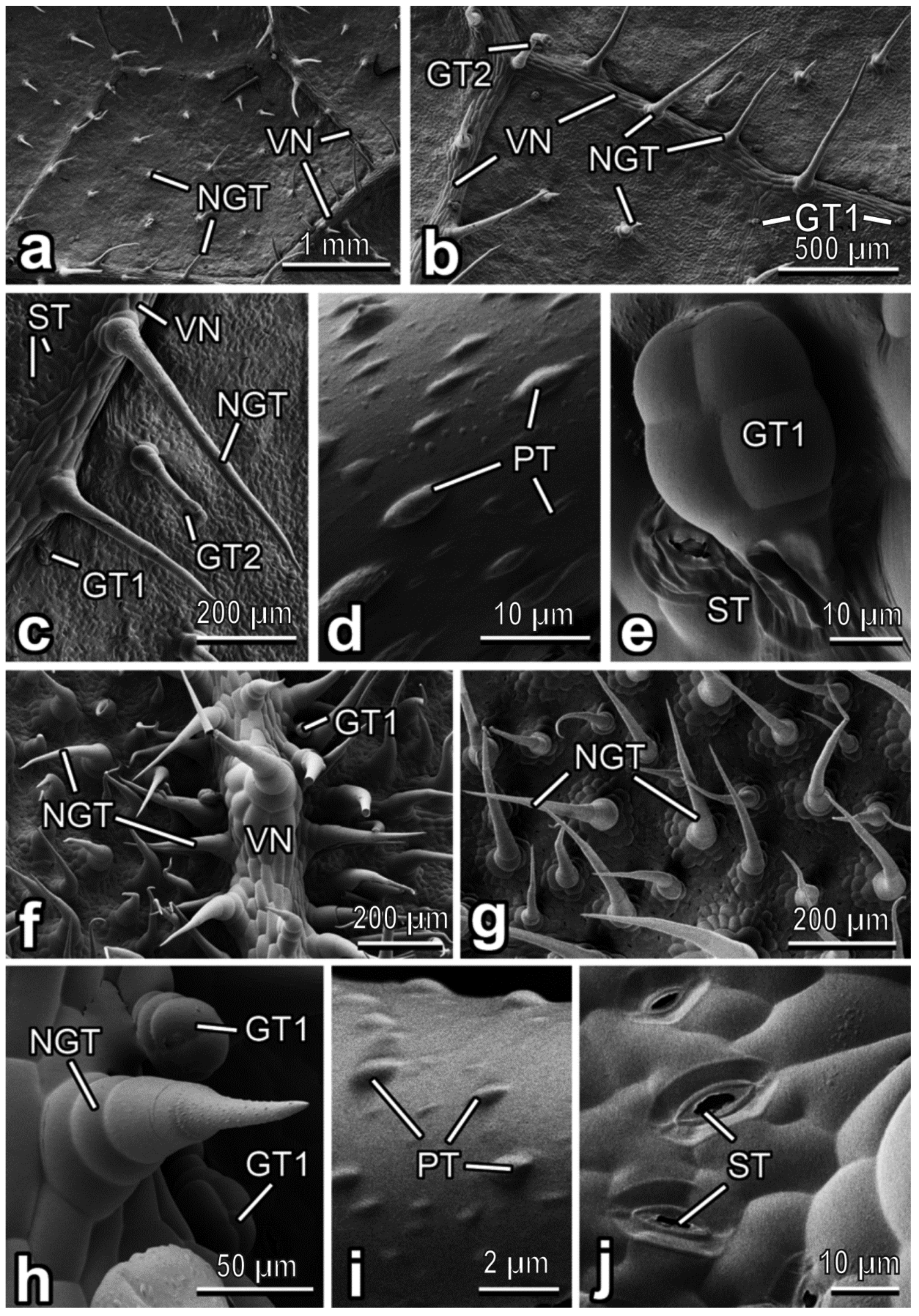 Insects 13 01123 g004 Insects 13 01123 g004