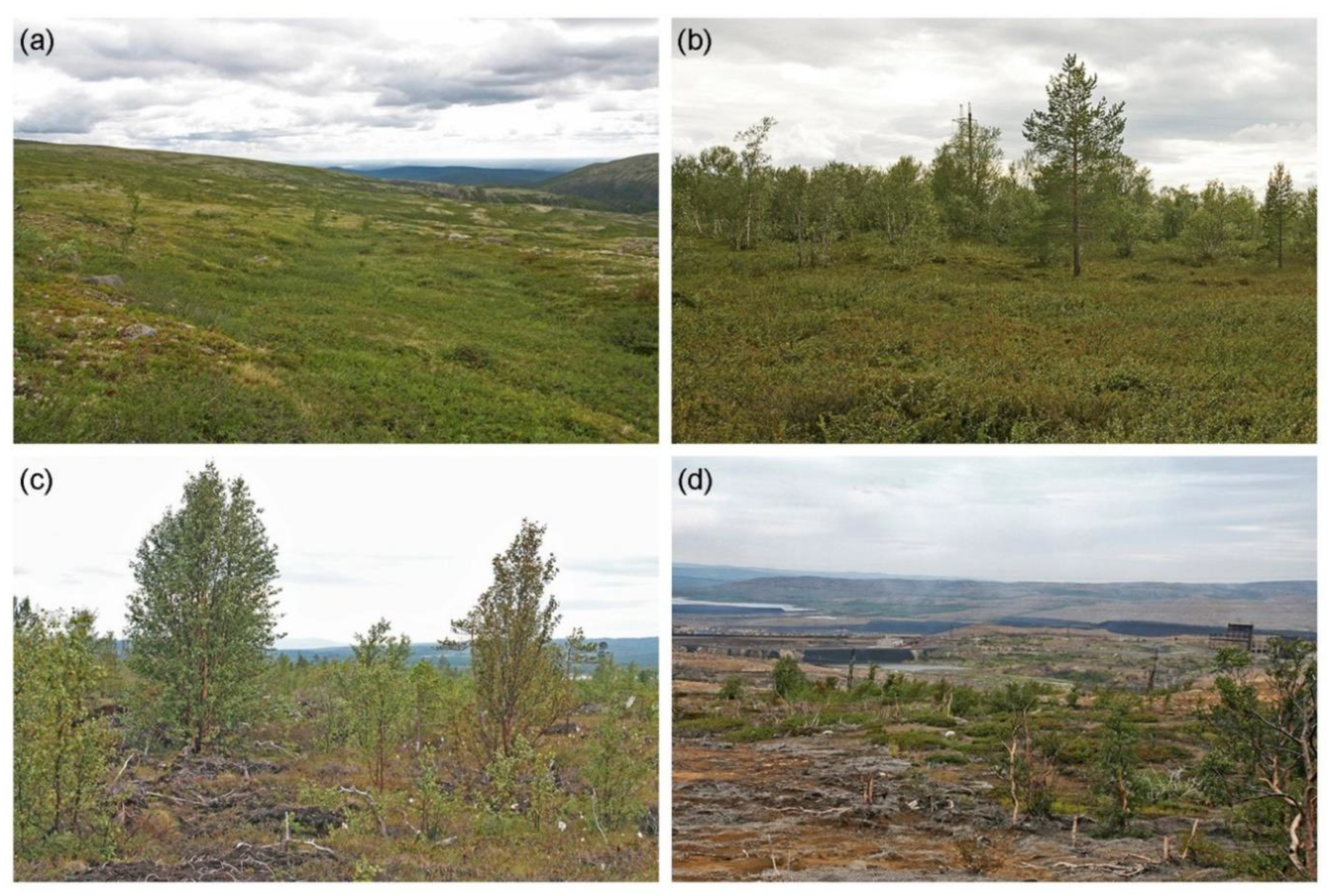 Insects 13 01124 g002