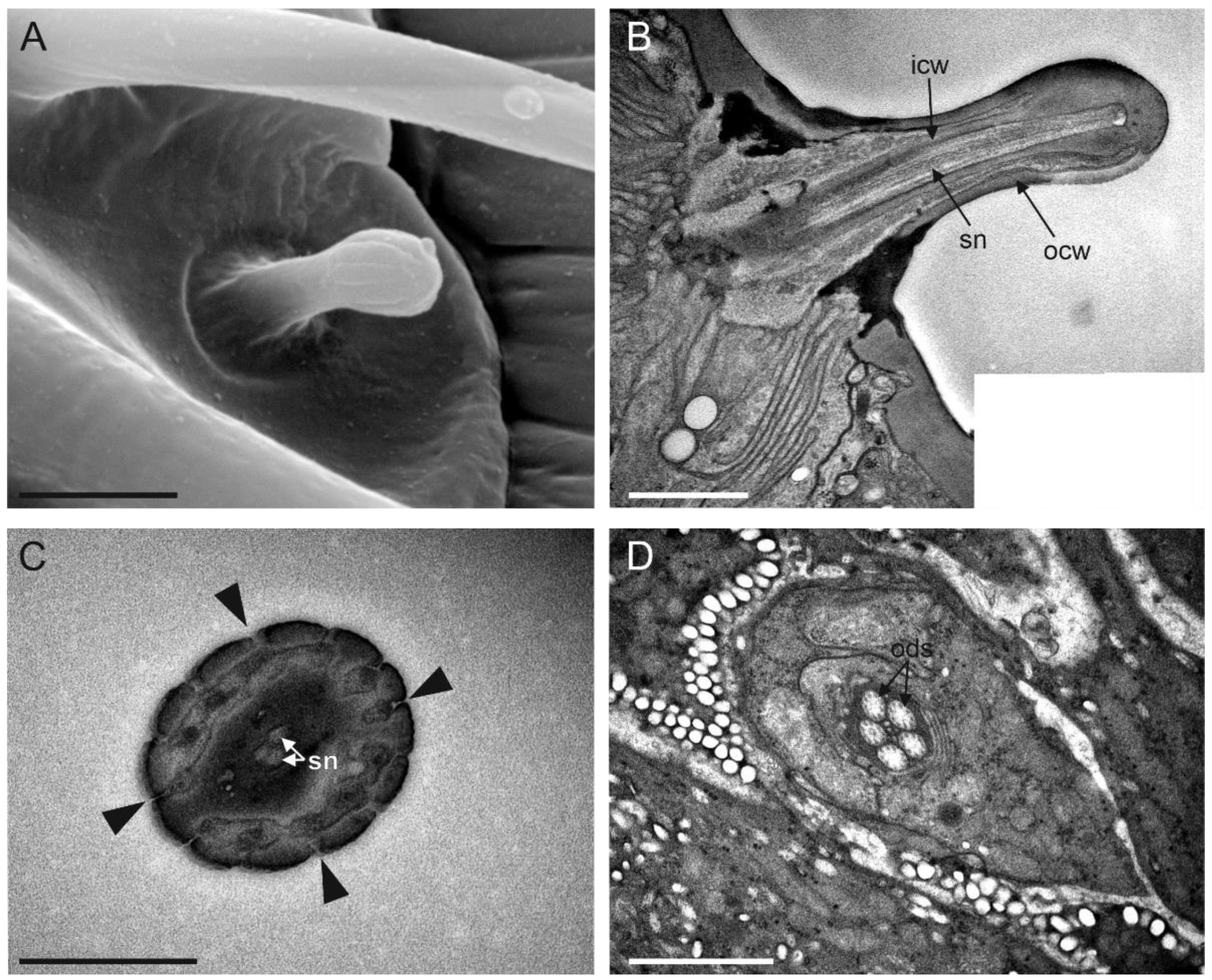 Insects 13 01138 g010 Insects 13 01138 g010