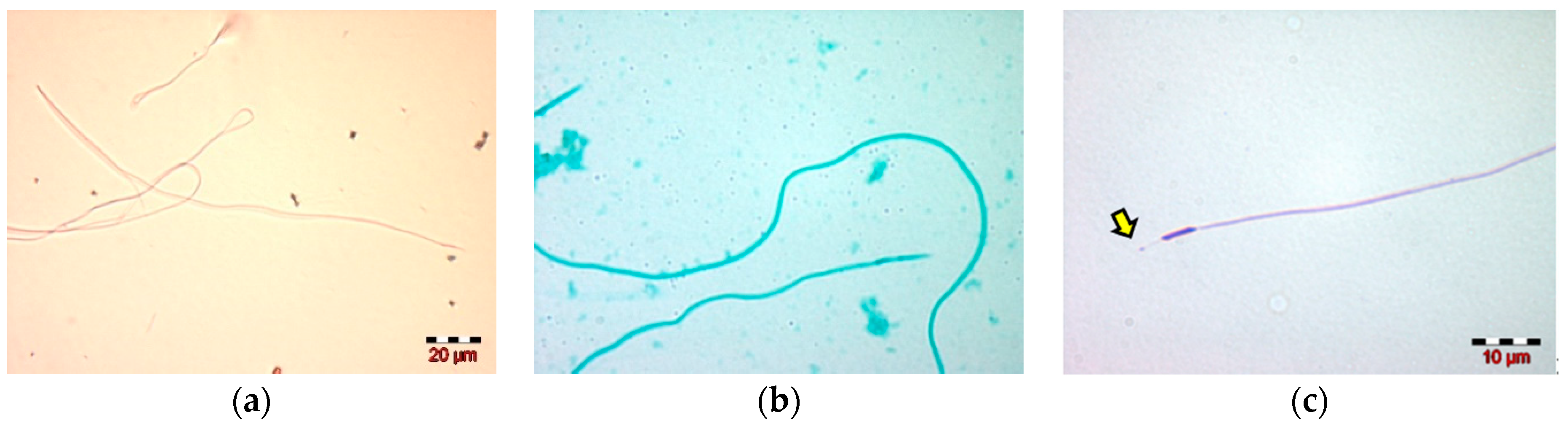 Insects 13 01141 g002 Insects 13 01141 g002