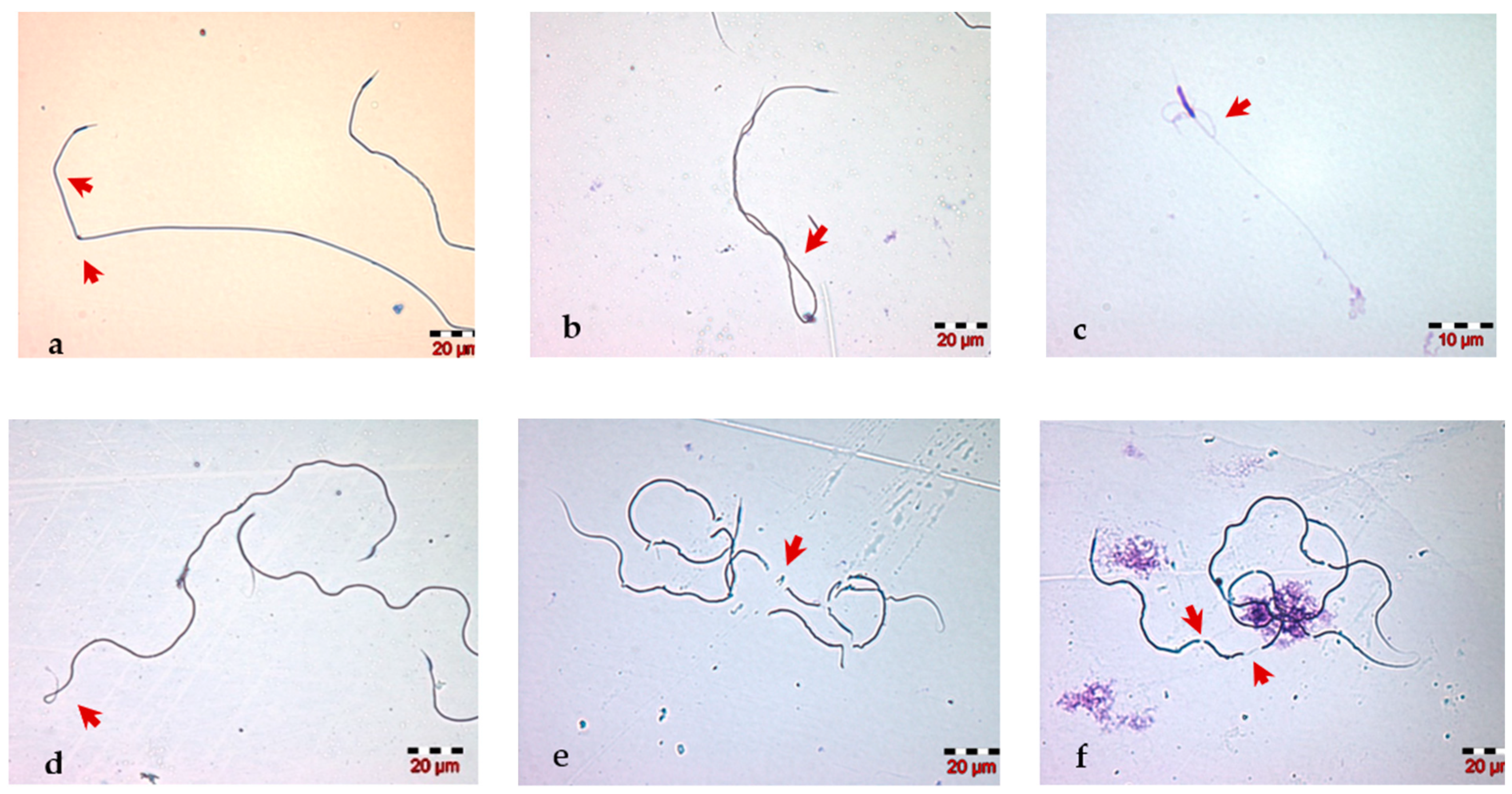 Insects 13 01141 g004 Insects 13 01141 g004