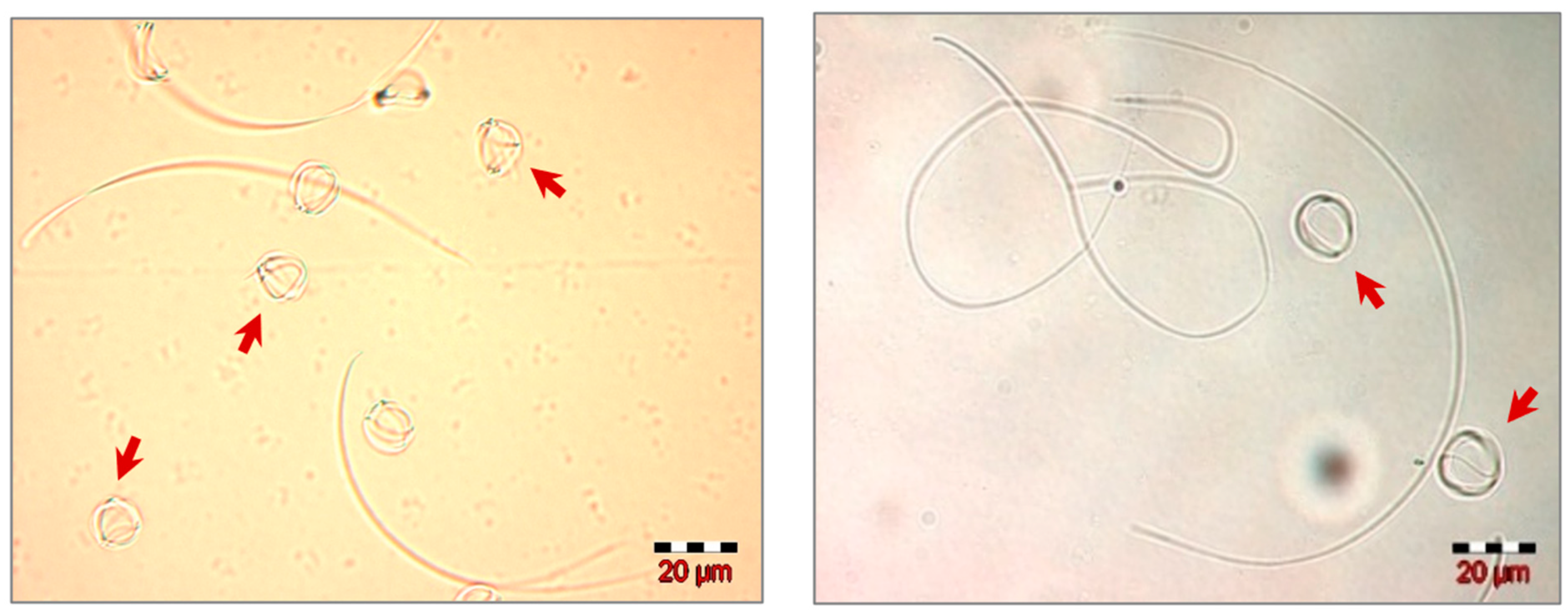 Insects 13 01141 g005 Insects 13 01141 g005