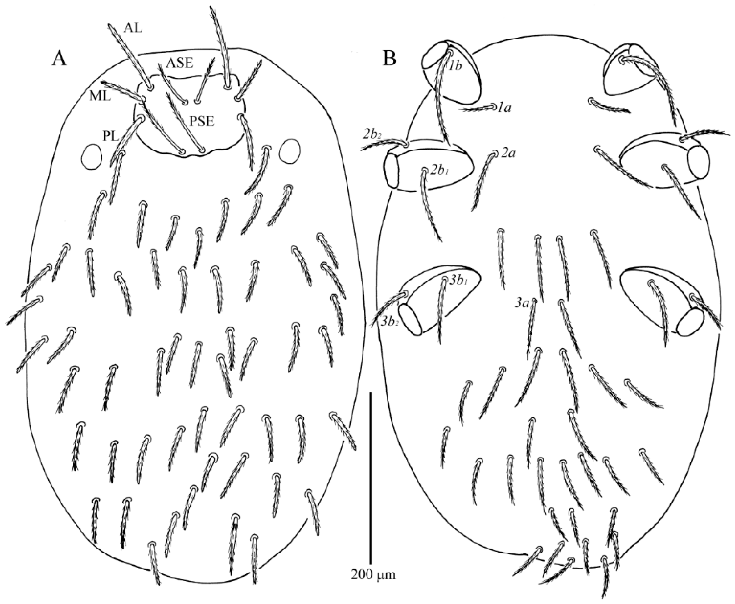 Insects 13 01154 g001 Insects 13 01154 g001