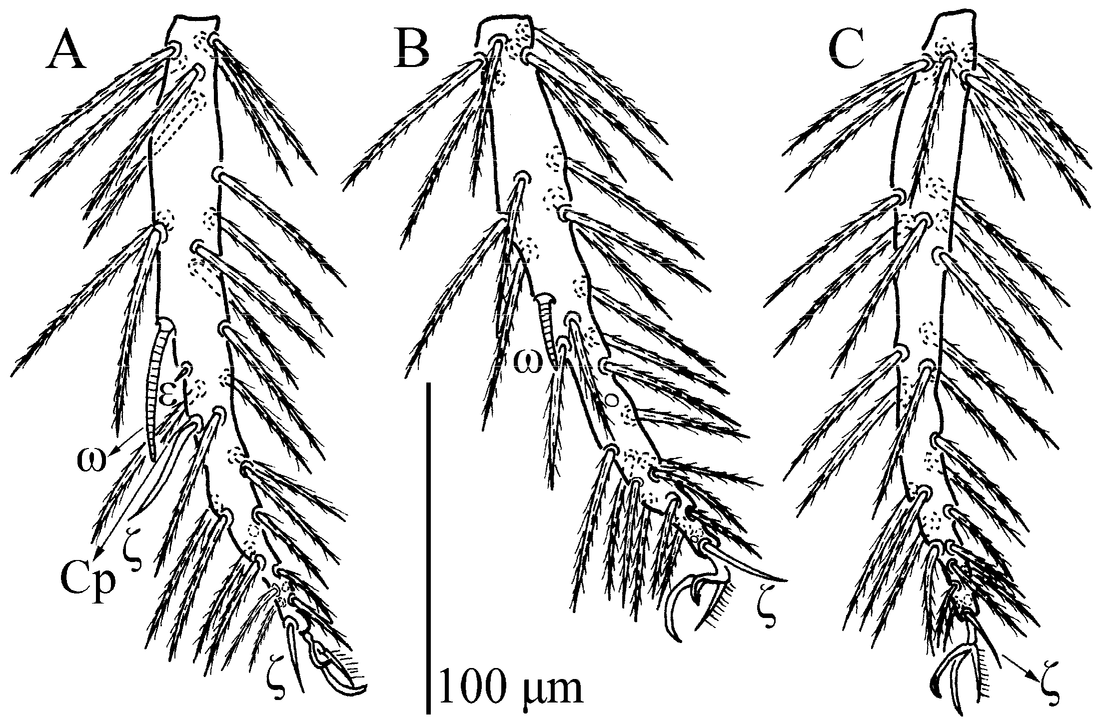 Insects 13 01154 g005 Insects 13 01154 g005