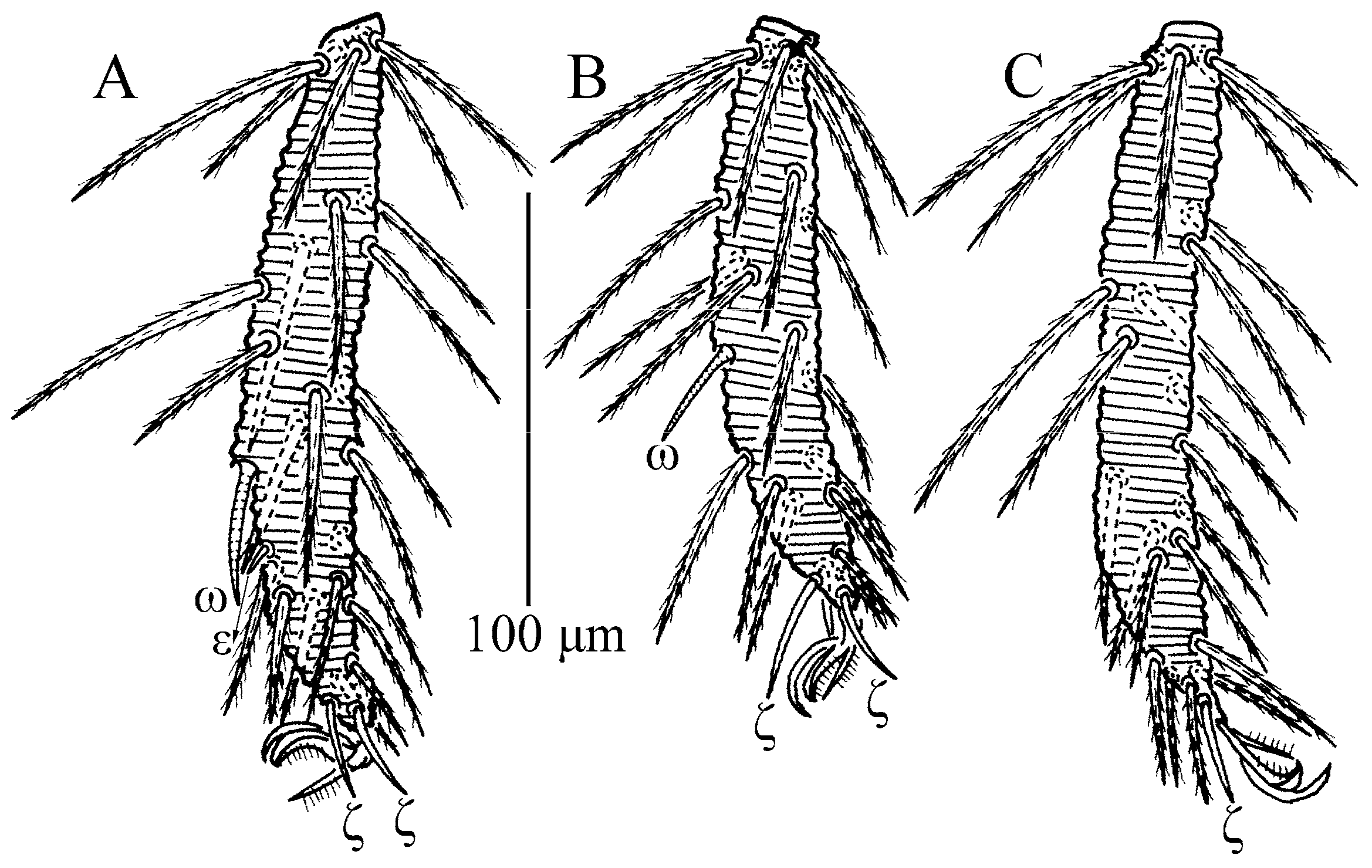 Insects 13 01154 g010 Insects 13 01154 g010