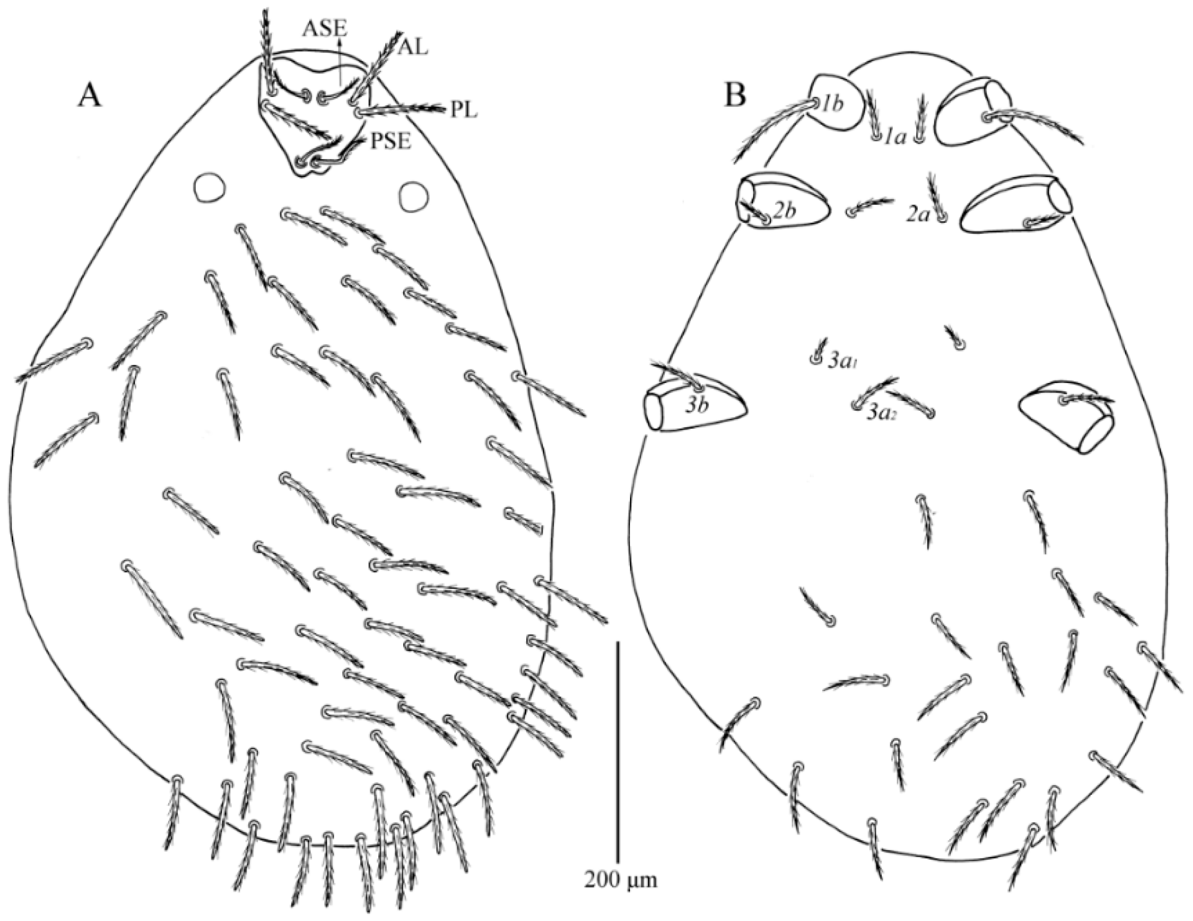 Insects 13 01154 g011 Insects 13 01154 g011