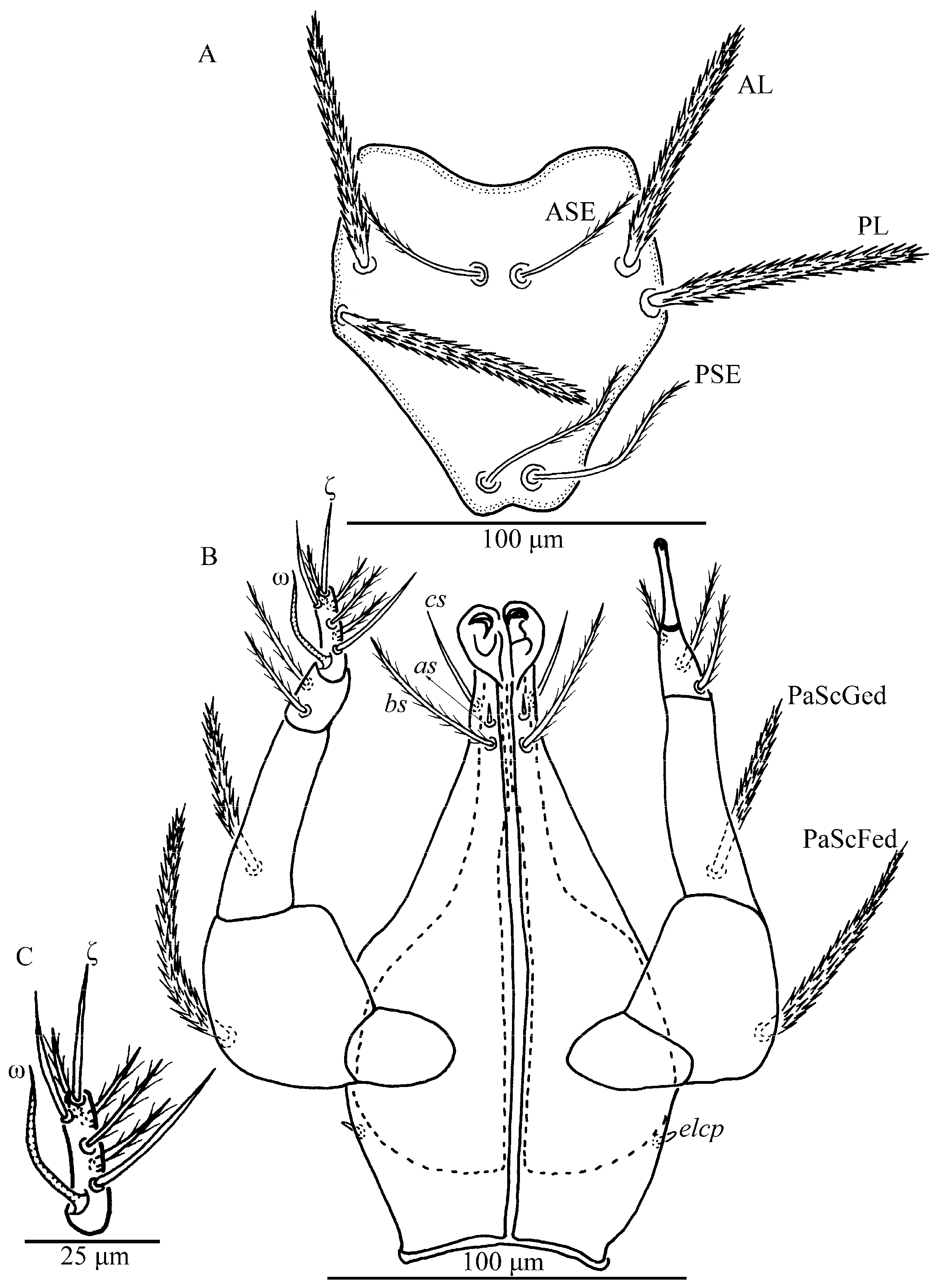 Insects 13 01154 g012 Insects 13 01154 g012