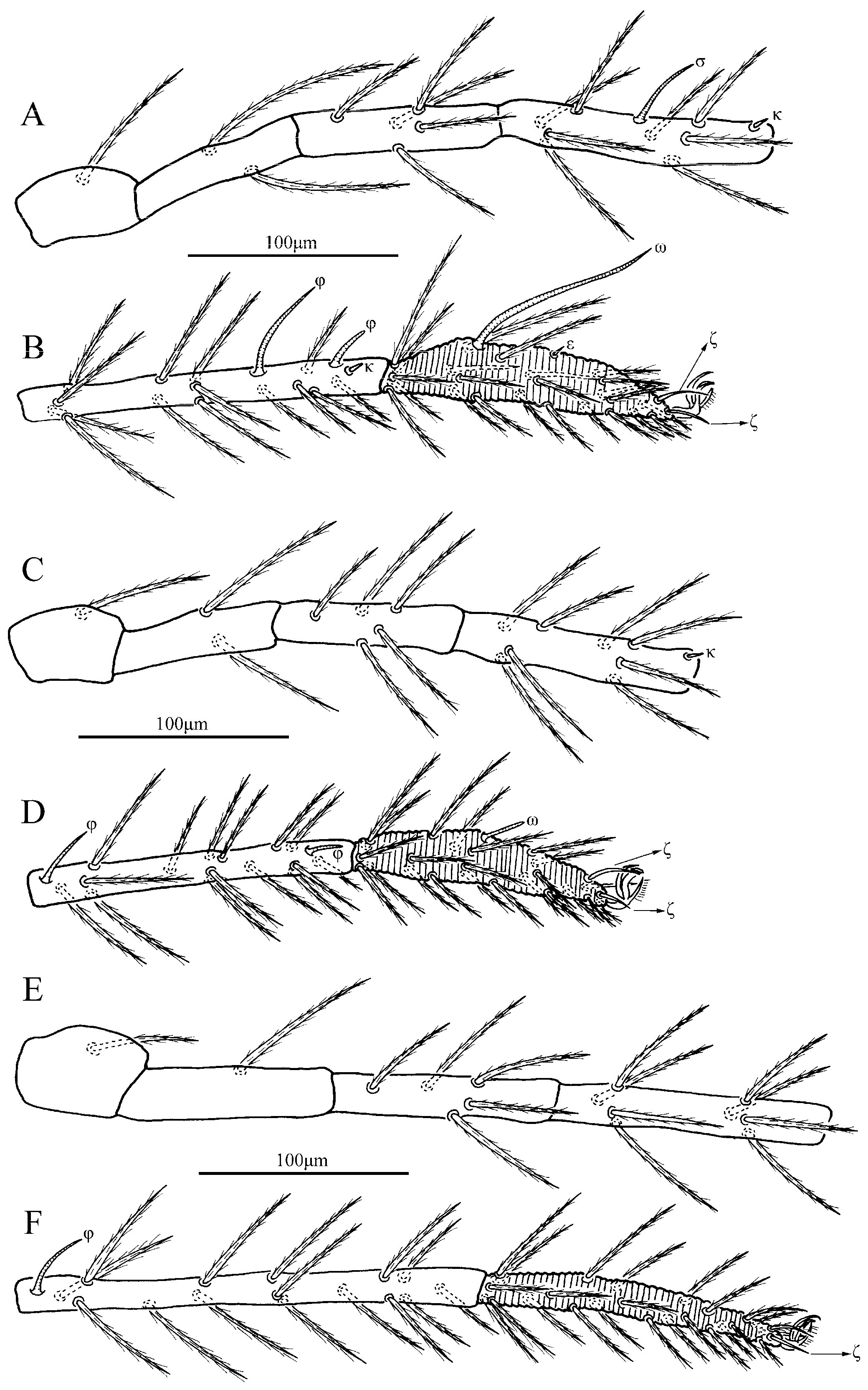 Insects 13 01154 g014 Insects 13 01154 g014