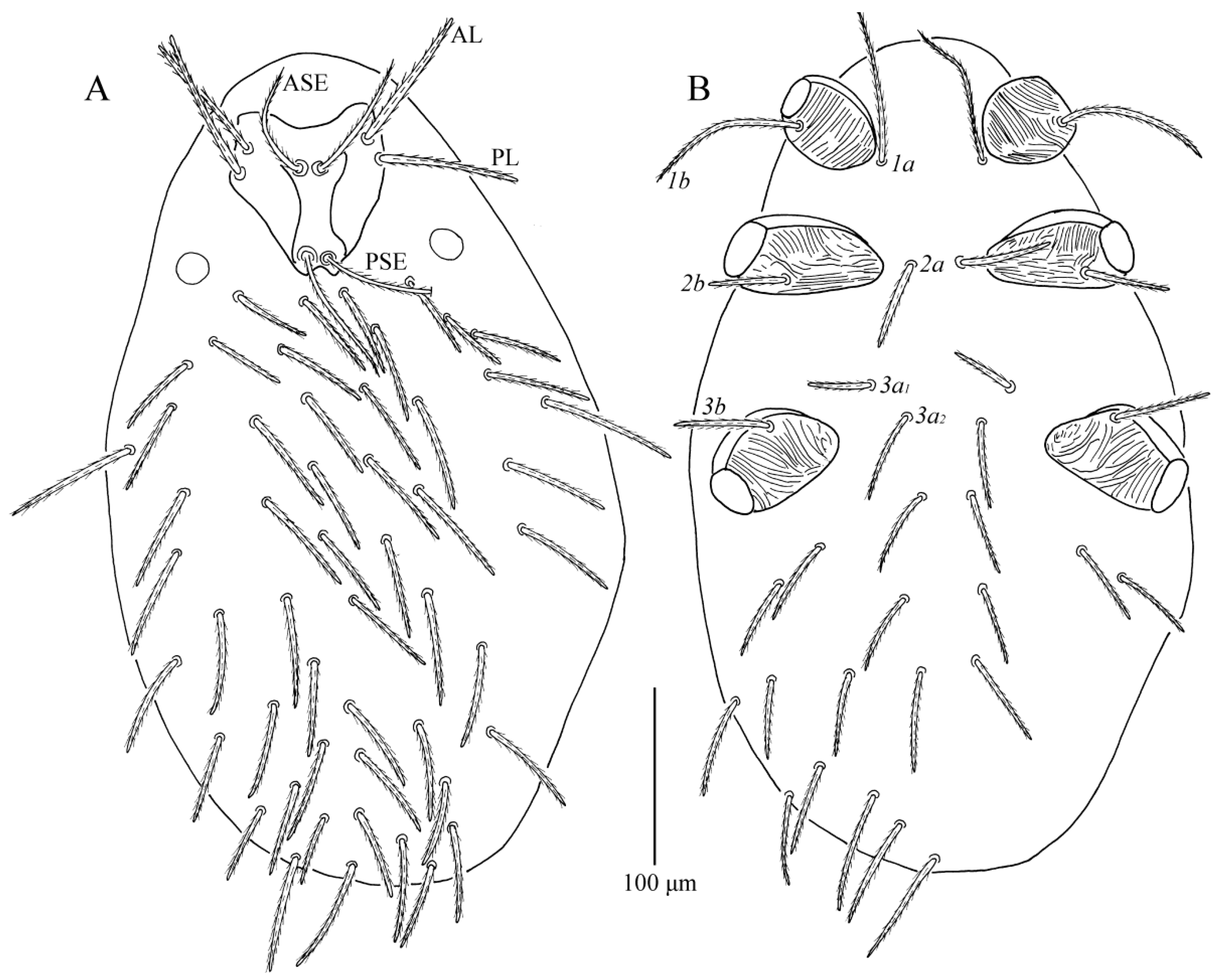 Insects 13 01154 g017 Insects 13 01154 g017