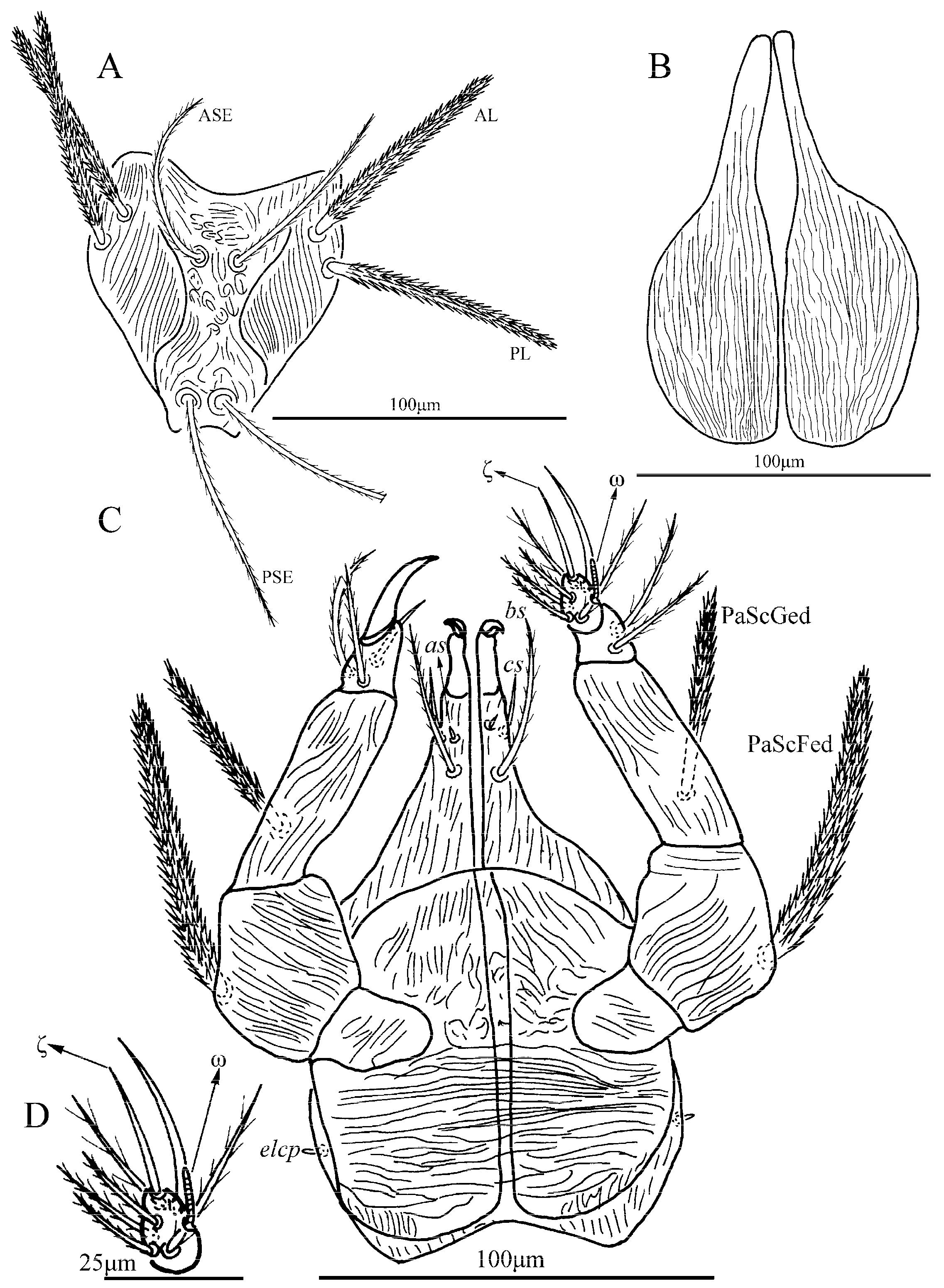 Insects 13 01154 g018 Insects 13 01154 g018