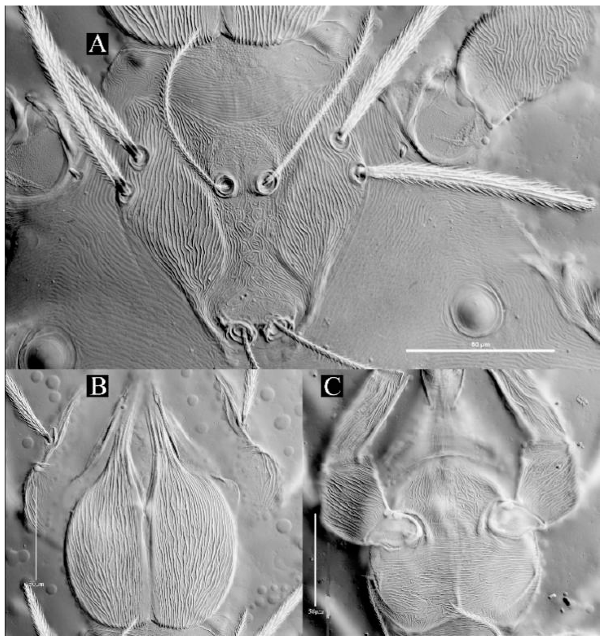 Insects 13 01154 g019 Insects 13 01154 g019