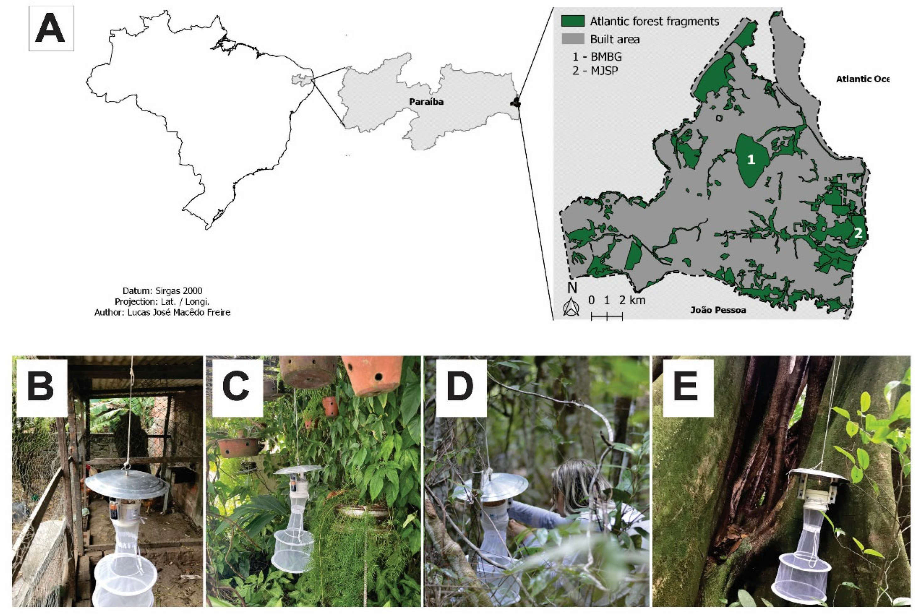 Insects 13 01156 g001 Insects 13 01156 g001