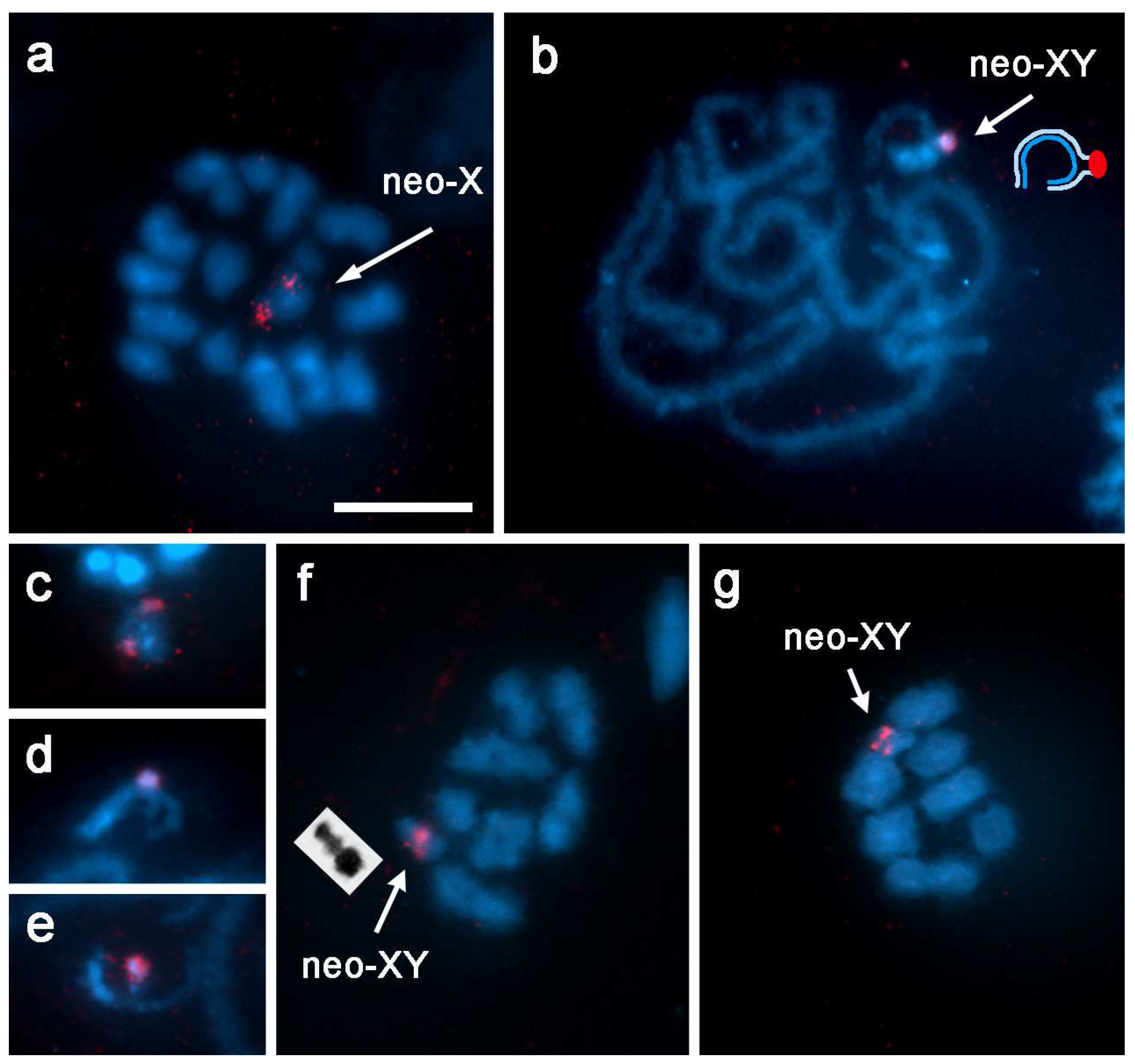 Insects 13 01159 g002 Insects 13 01159 g002