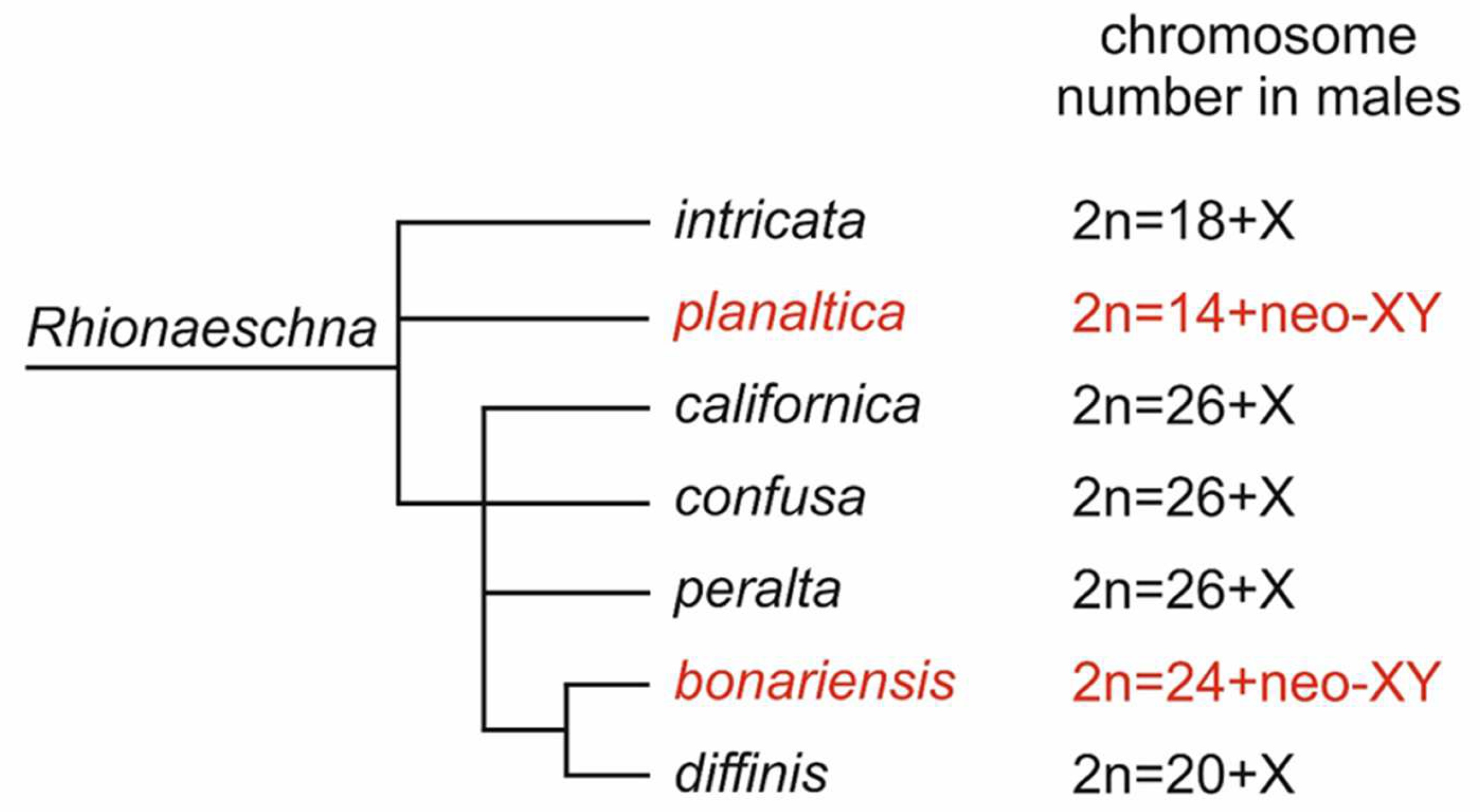 Insects 13 01159 g005 Insects 13 01159 g005