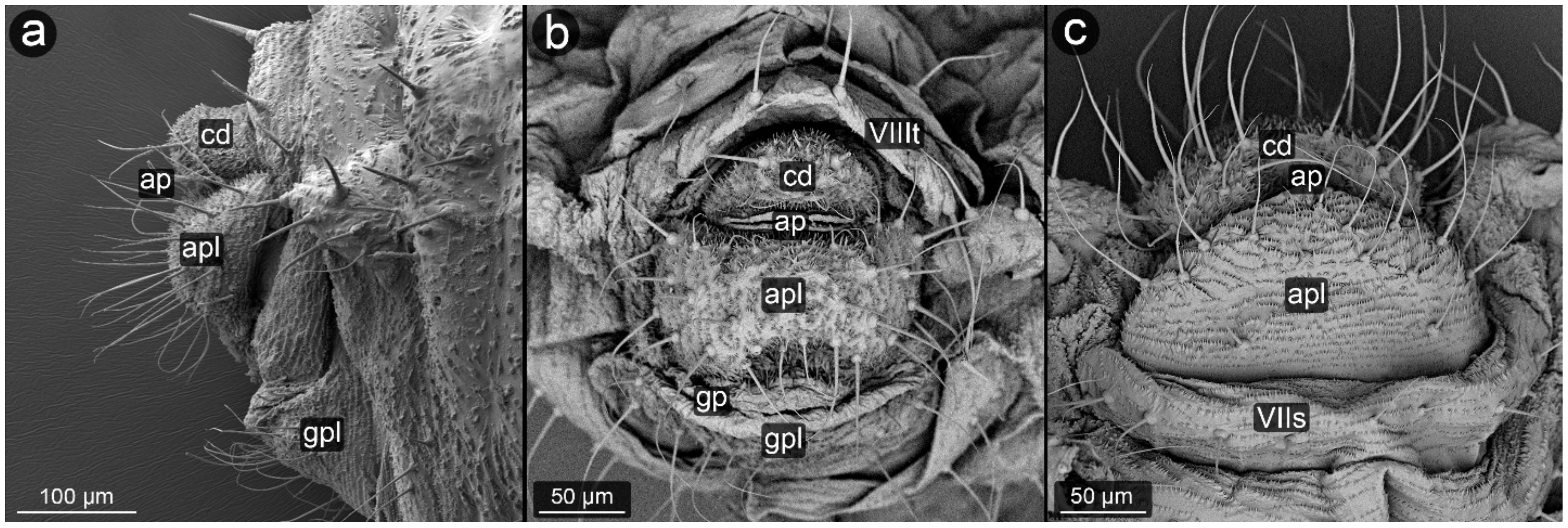 Insects 13 01160 g003 Insects 13 01160 g003